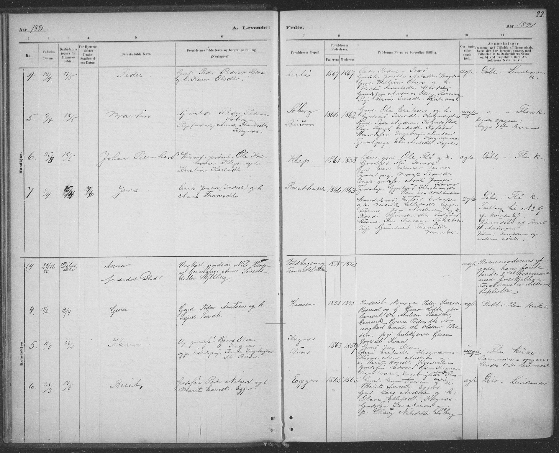 Ministerialprotokoller, klokkerbøker og fødselsregistre - Sør-Trøndelag, SAT/A-1456/691/L1085: Ministerialbok nr. 691A17, 1887-1908, s. 22