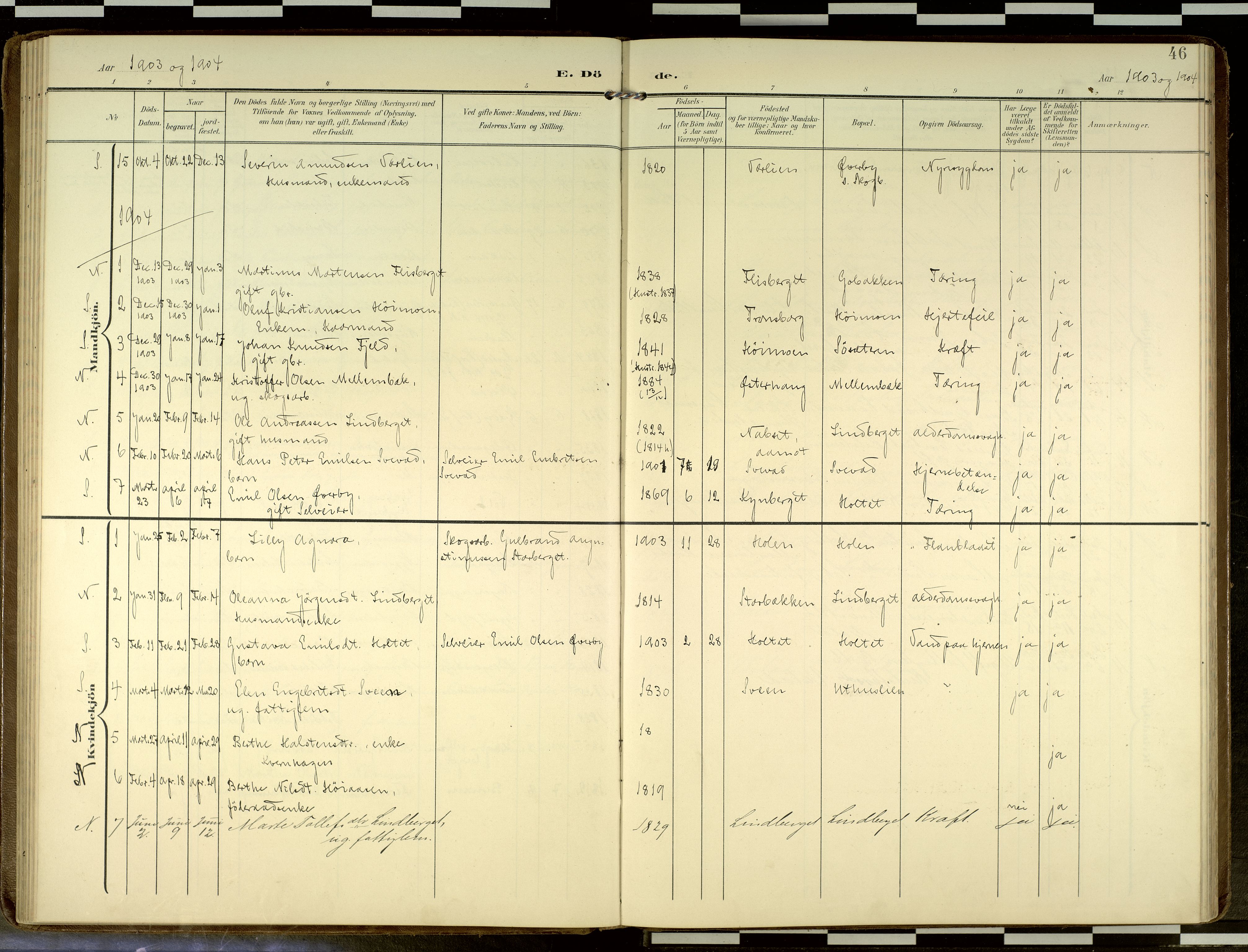 Elverum prestekontor, SAH/PREST-044/H/Ha/Haa/L0019: Ministerialbok nr. 19, 1903-1926, s. 46