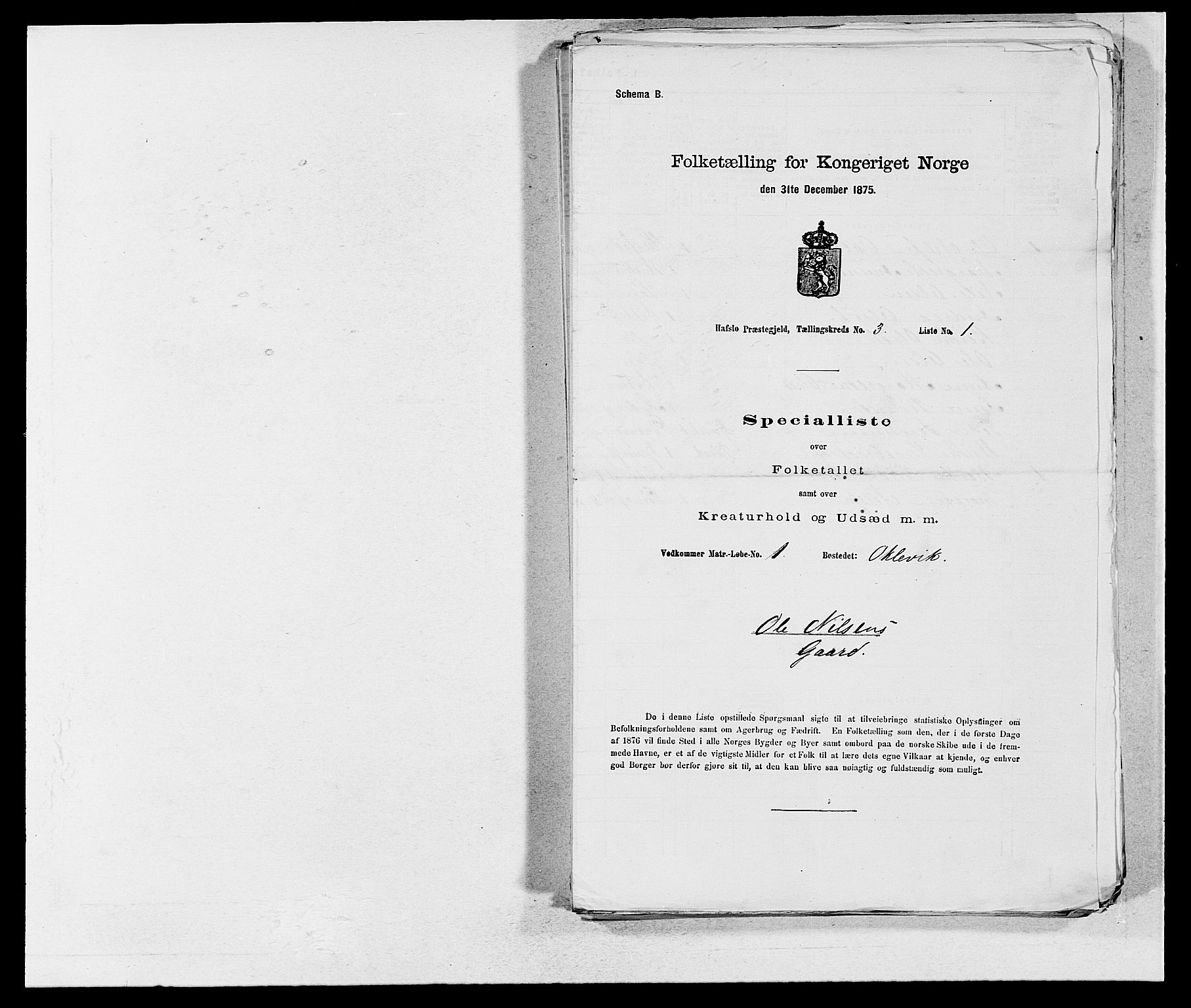 SAB, Folketelling 1875 for 1425P Hafslo prestegjeld, 1875, s. 274