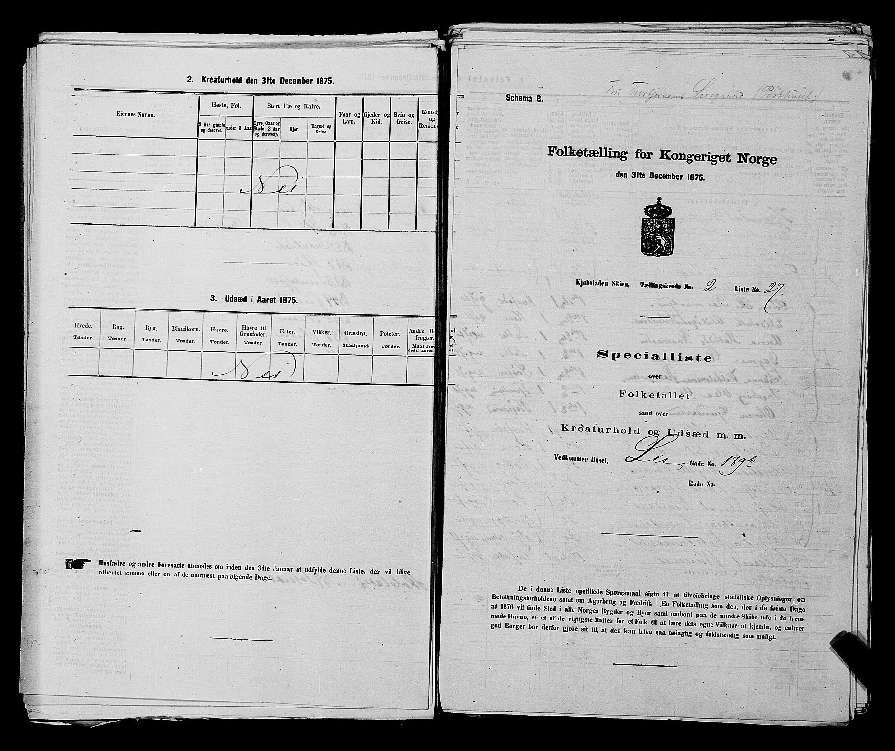 SAKO, Folketelling 1875 for 0806P Skien prestegjeld, 1875, s. 306