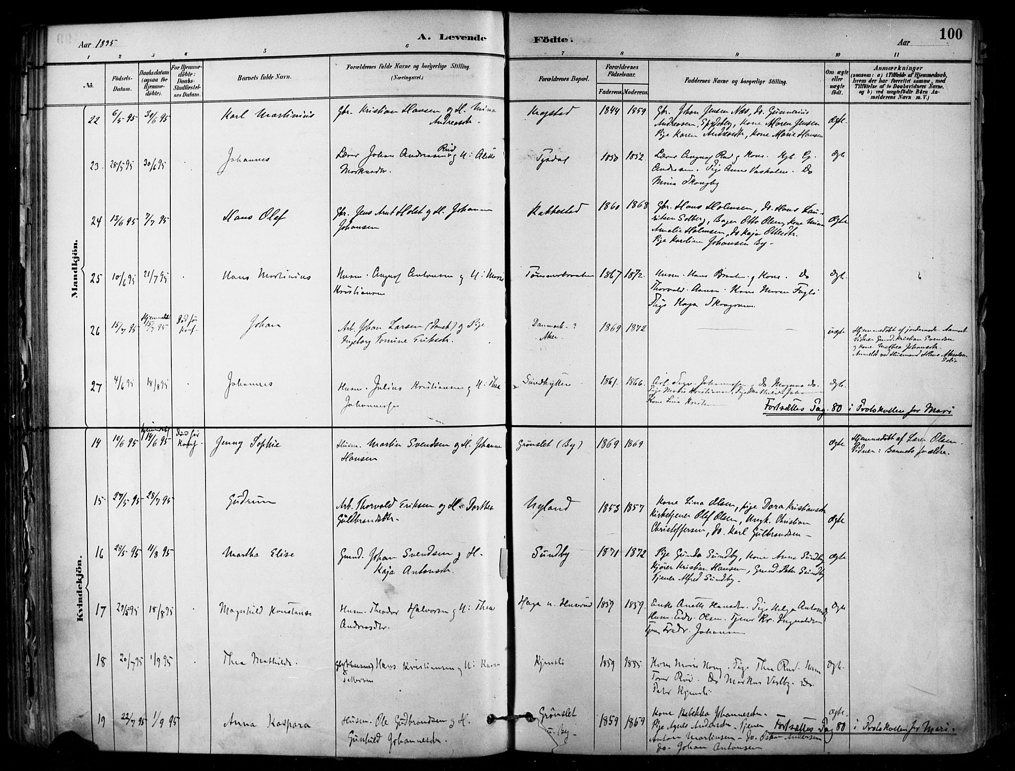 Enebakk prestekontor Kirkebøker, AV/SAO-A-10171c/F/Fa/L0016: Ministerialbok nr. I 16, 1883-1898, s. 100