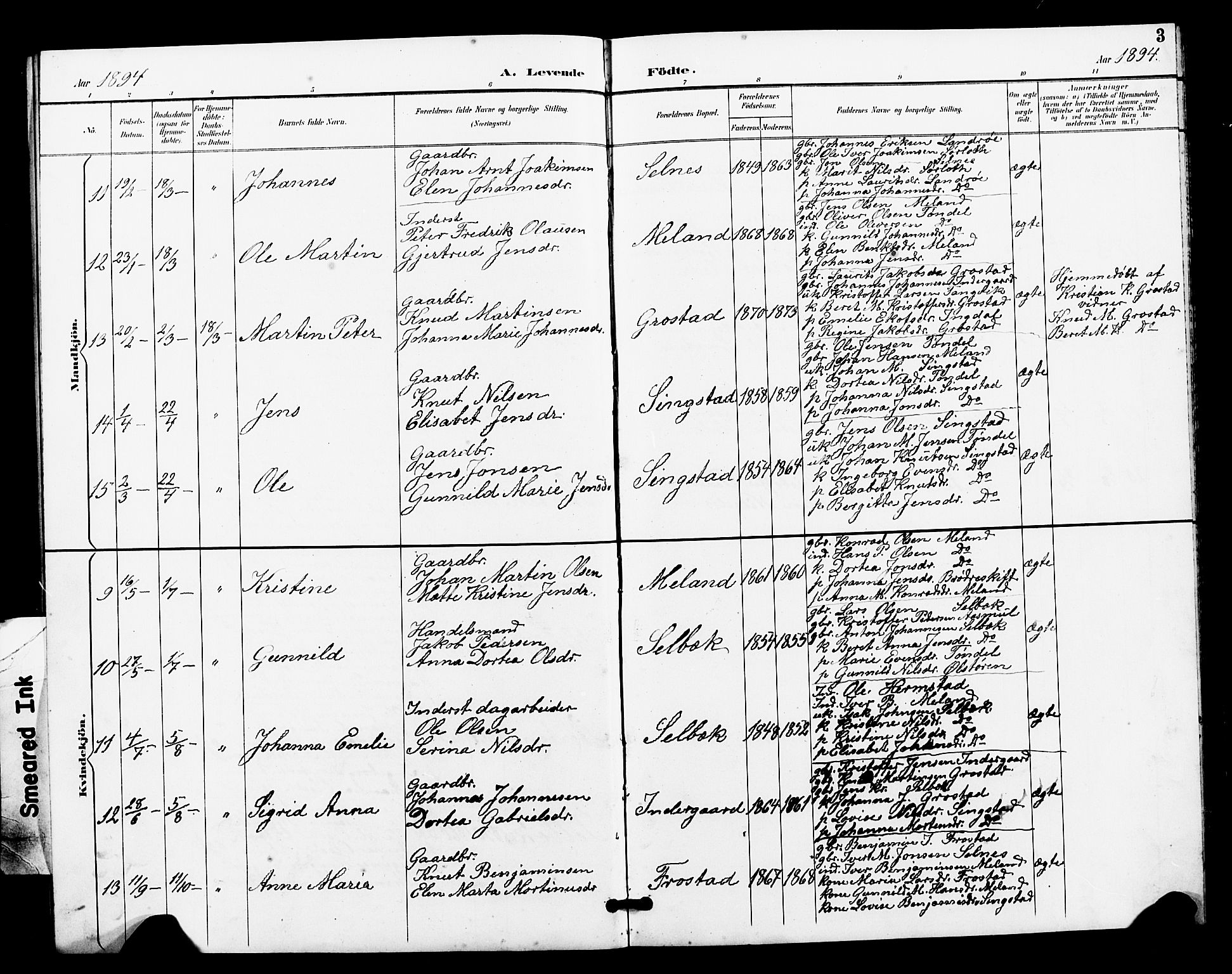 Ministerialprotokoller, klokkerbøker og fødselsregistre - Sør-Trøndelag, AV/SAT-A-1456/663/L0762: Klokkerbok nr. 663C02, 1894-1899, s. 3