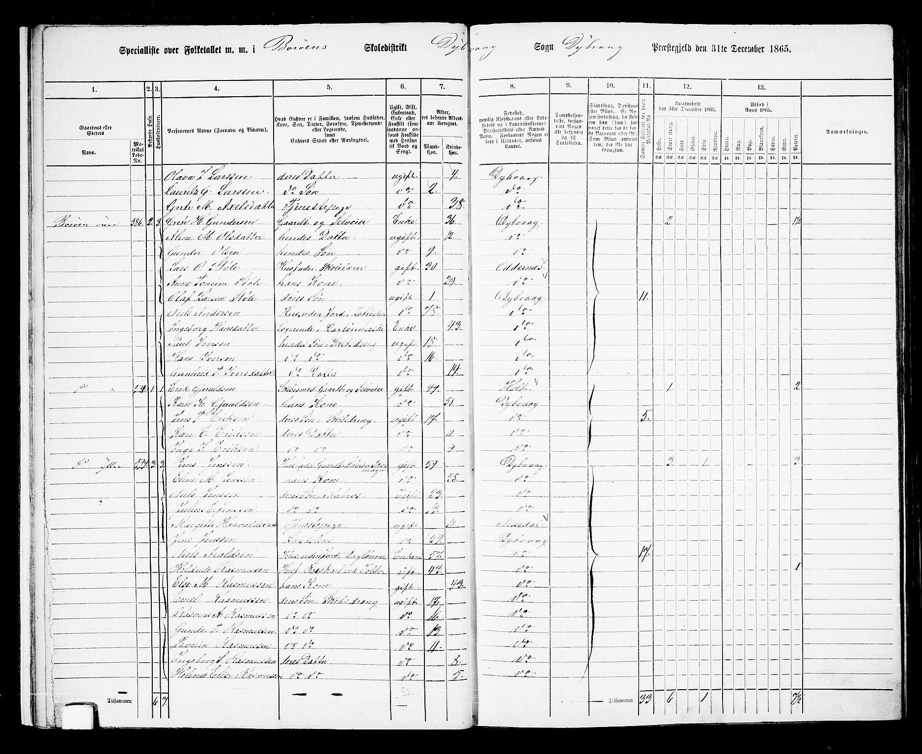 RA, Folketelling 1865 for 0915P Dypvåg prestegjeld, 1865, s. 14