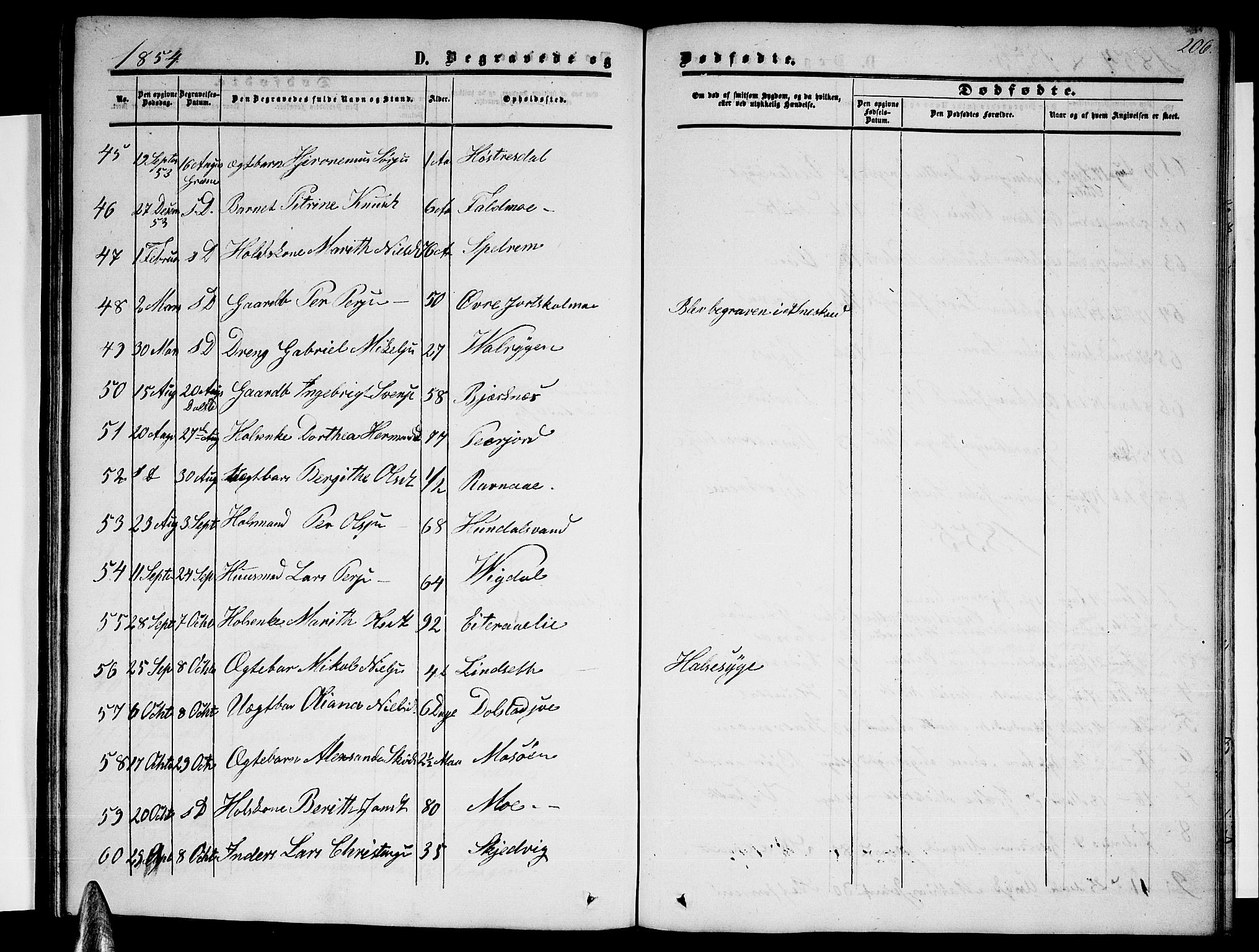 Ministerialprotokoller, klokkerbøker og fødselsregistre - Nordland, AV/SAT-A-1459/820/L0301: Klokkerbok nr. 820C03, 1851-1858, s. 206