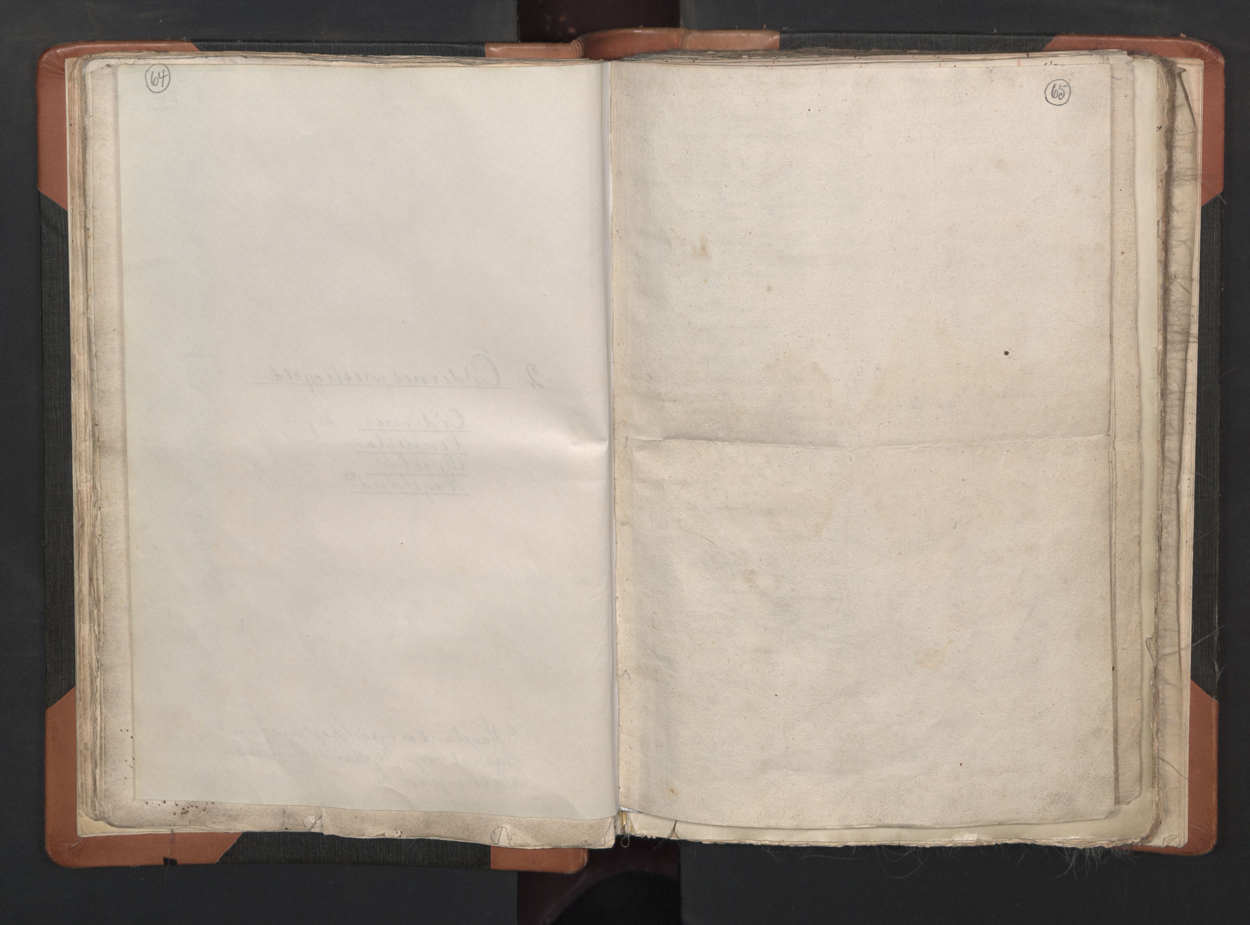 RA, Sogneprestenes manntall 1664-1666, nr. 15: Mandal prosti, 1664-1666, s. 64-65