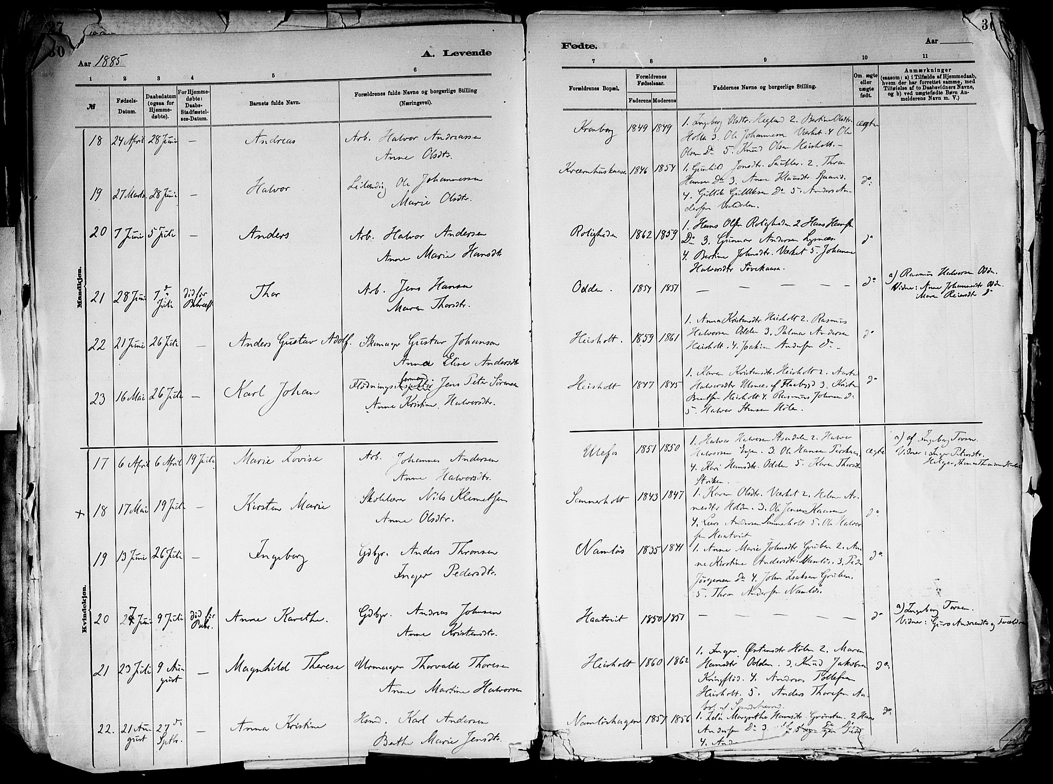 Holla kirkebøker, AV/SAKO-A-272/F/Fa/L0008: Ministerialbok nr. 8, 1882-1897, s. 30