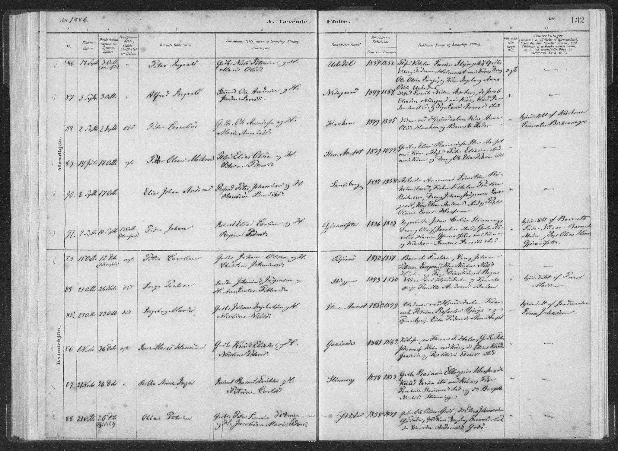 Ministerialprotokoller, klokkerbøker og fødselsregistre - Møre og Romsdal, AV/SAT-A-1454/528/L0401: Ministerialbok nr. 528A12I, 1880-1920, s. 132