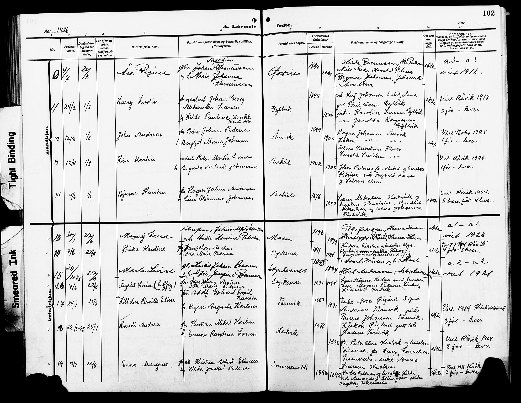 Ministerialprotokoller, klokkerbøker og fødselsregistre - Nordland, AV/SAT-A-1459/854/L0787: Klokkerbok nr. 854C03, 1913-1926, s. 102