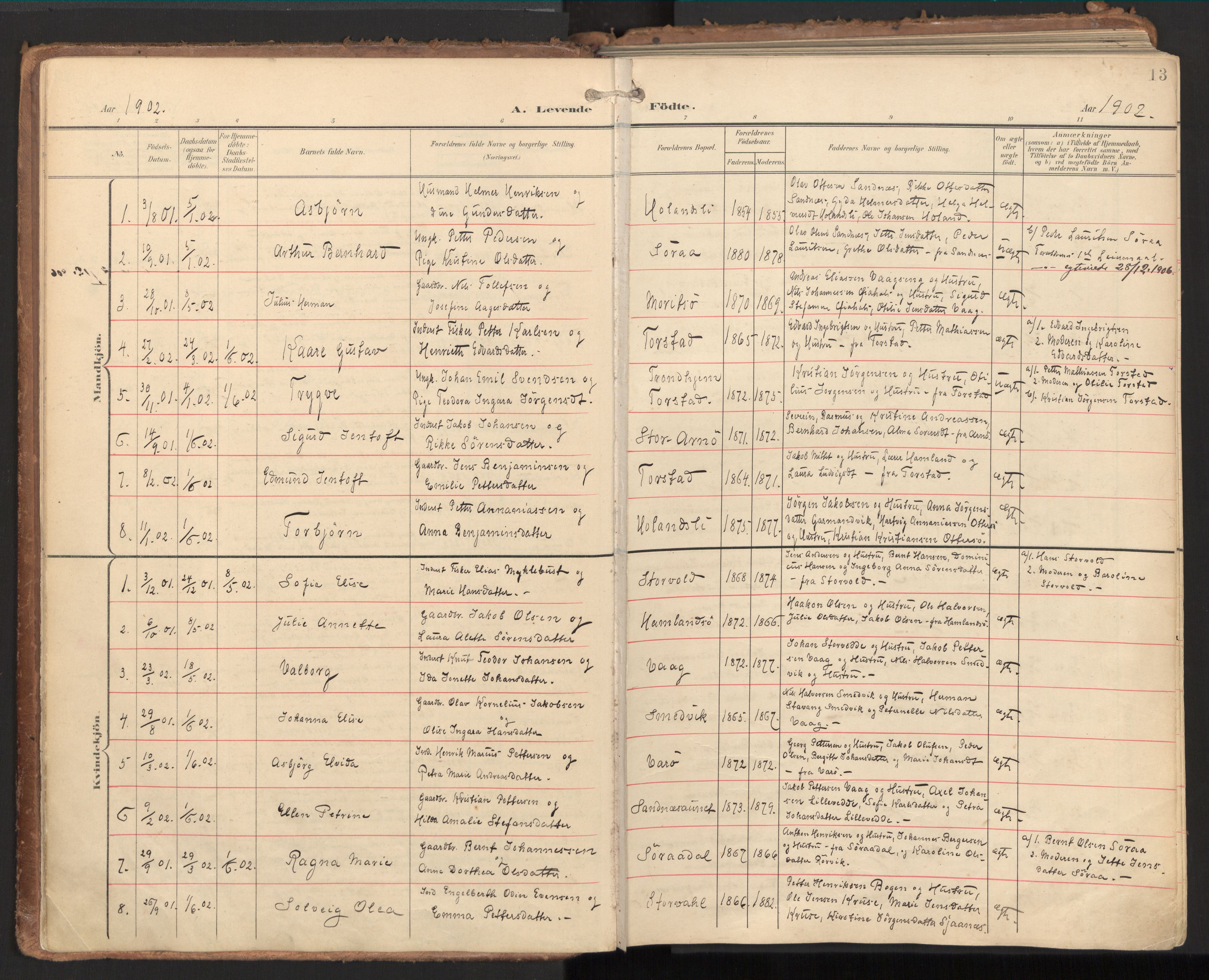 Ministerialprotokoller, klokkerbøker og fødselsregistre - Nord-Trøndelag, SAT/A-1458/784/L0677: Ministerialbok nr. 784A12, 1900-1920, s. 13