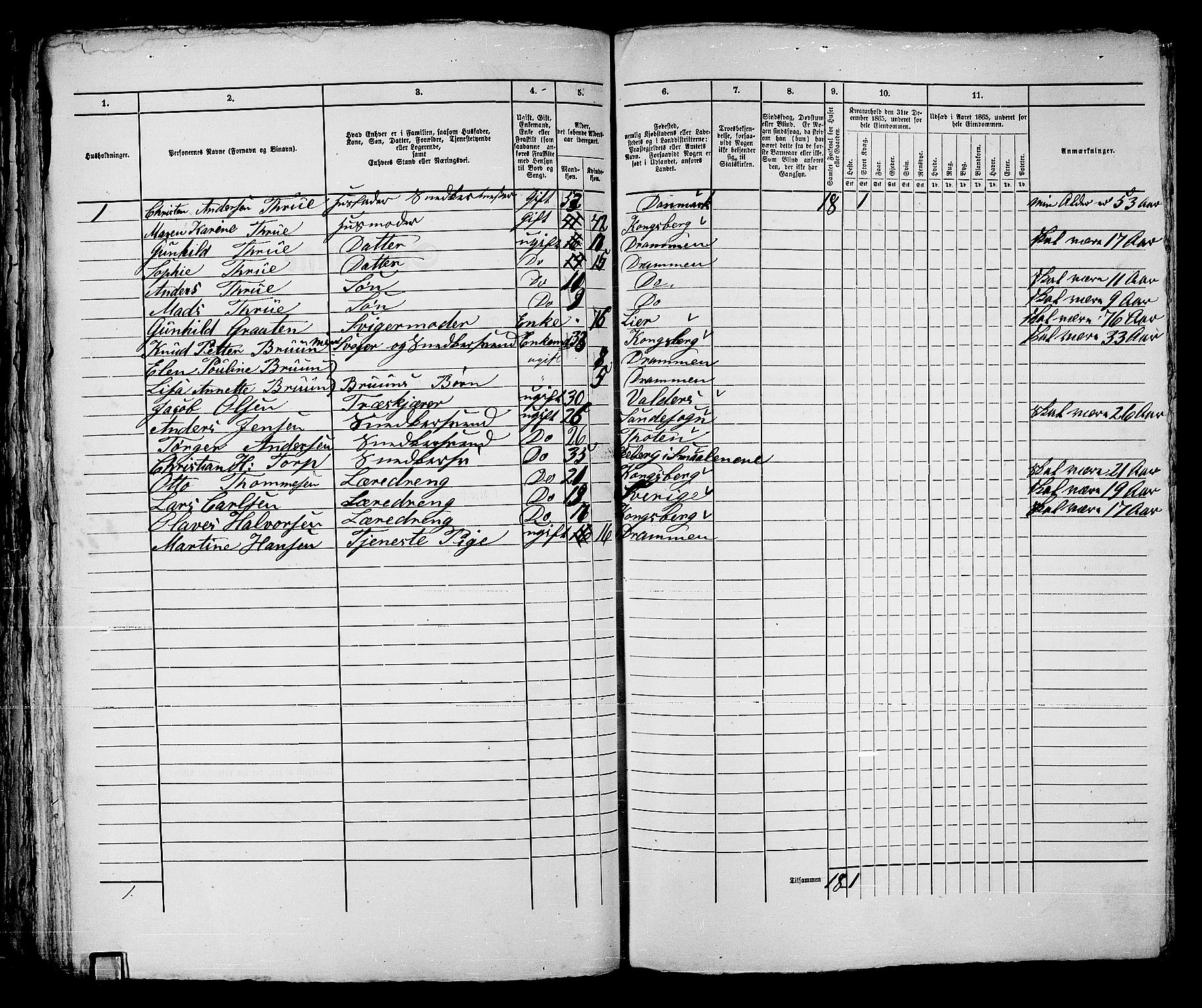 RA, Folketelling 1865 for 0602bP Strømsø prestegjeld i Drammen kjøpstad, 1865, s. 156