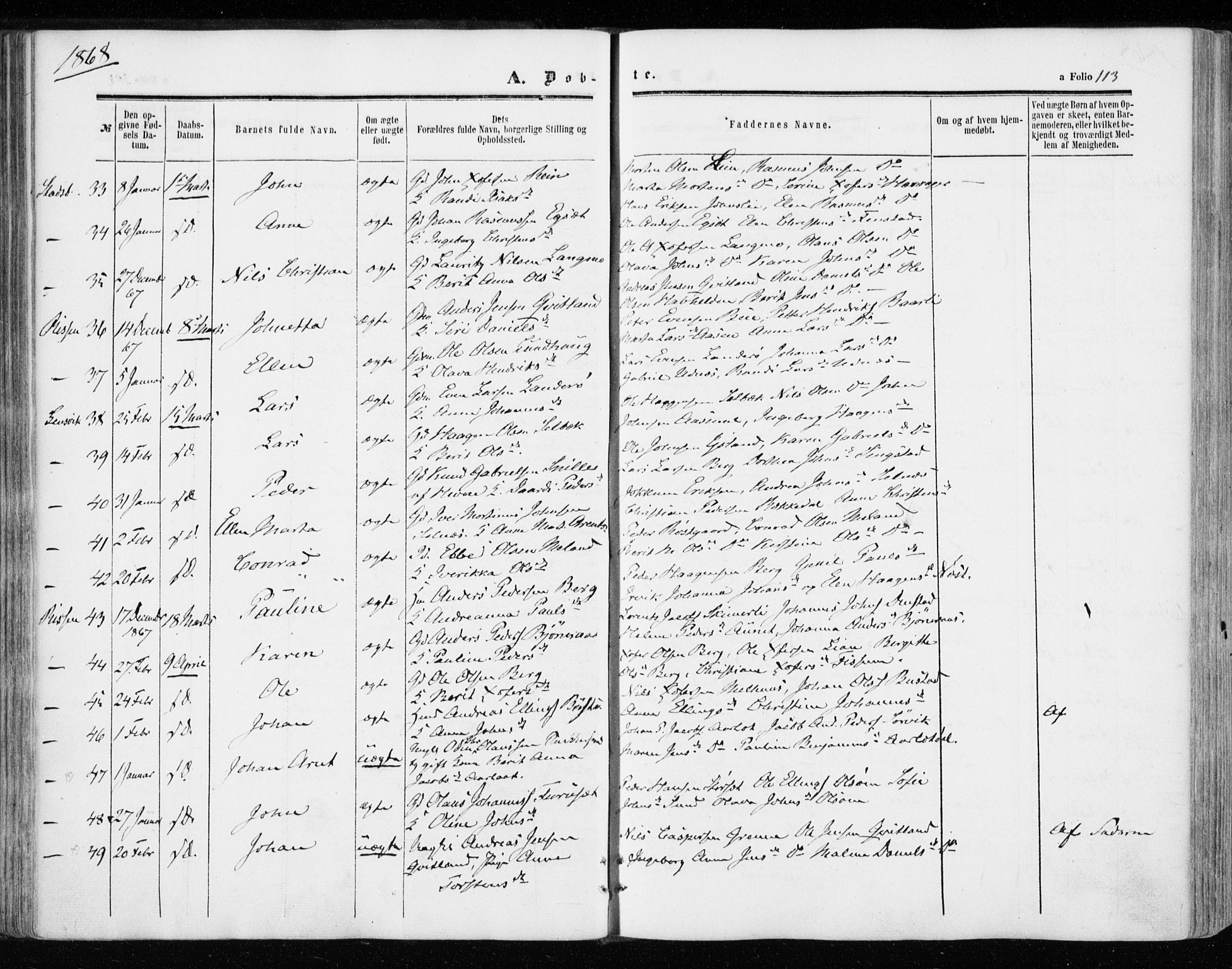 Ministerialprotokoller, klokkerbøker og fødselsregistre - Sør-Trøndelag, AV/SAT-A-1456/646/L0612: Ministerialbok nr. 646A10, 1858-1869, s. 113