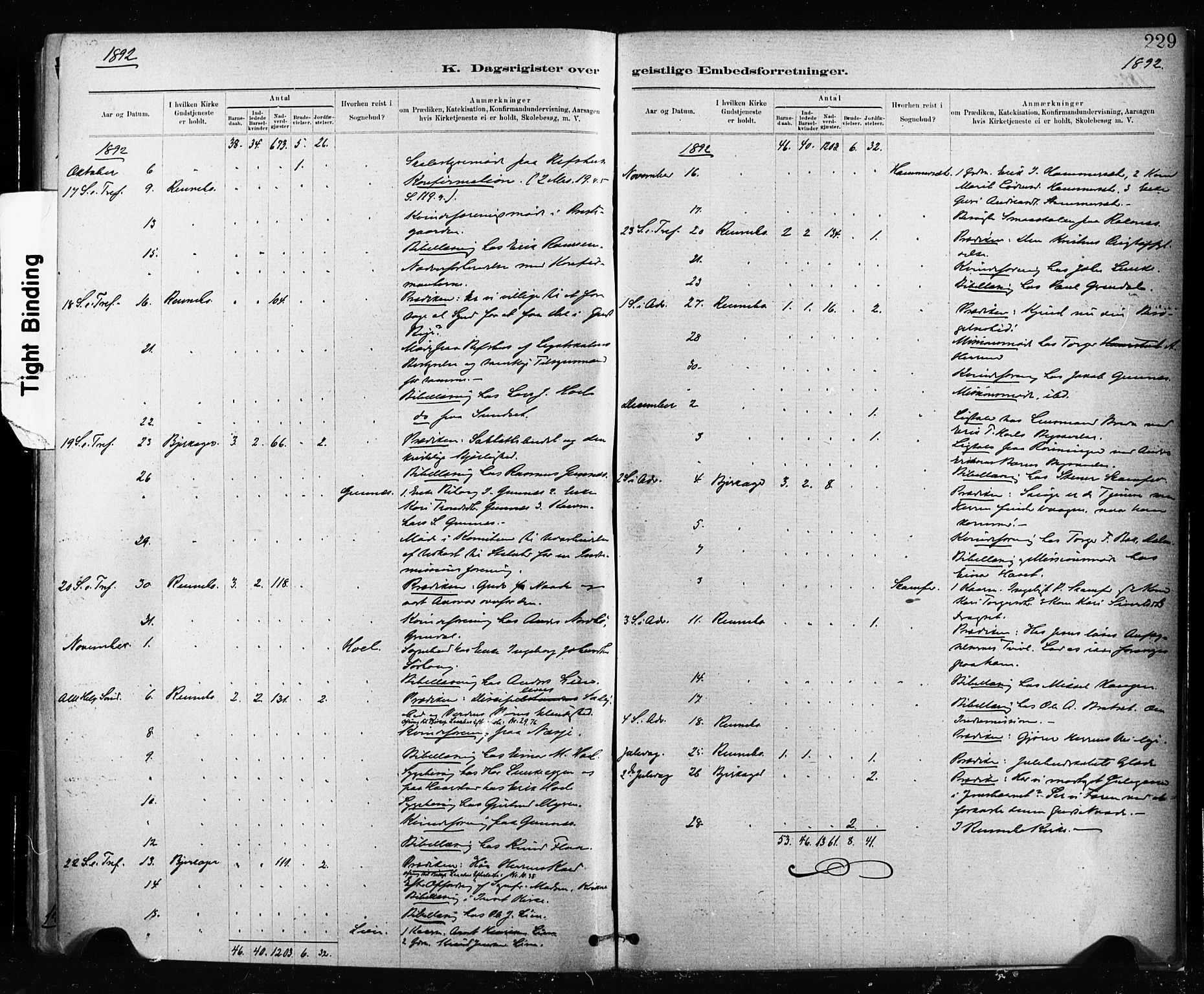 Ministerialprotokoller, klokkerbøker og fødselsregistre - Sør-Trøndelag, AV/SAT-A-1456/674/L0871: Ministerialbok nr. 674A03, 1880-1896, s. 229