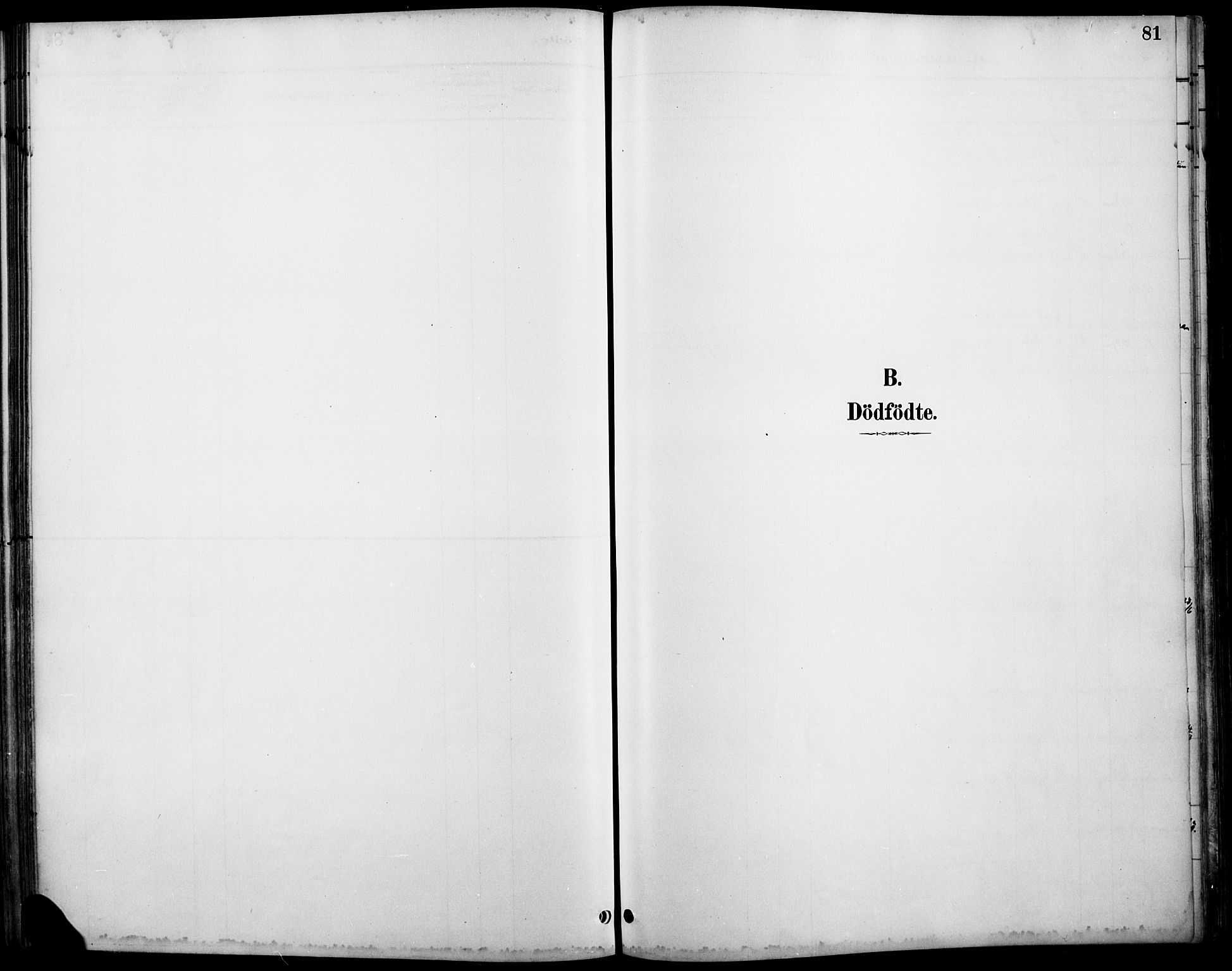 Østre Gausdal prestekontor, AV/SAH-PREST-092/H/Ha/Haa/L0002: Ministerialbok nr. 2, 1887-1897, s. 81