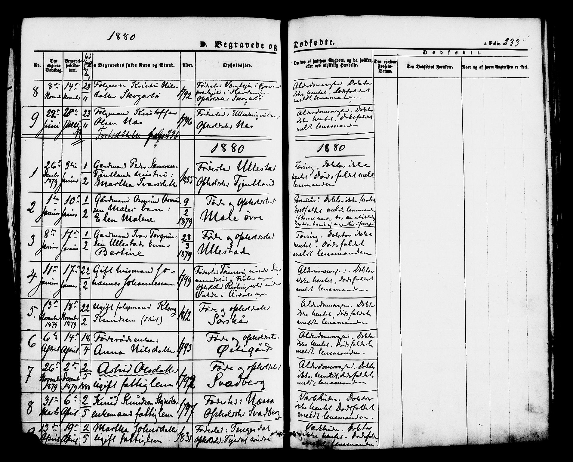Hjelmeland sokneprestkontor, AV/SAST-A-101843/01/IV/L0012: Ministerialbok nr. A 12, 1862-1886, s. 233