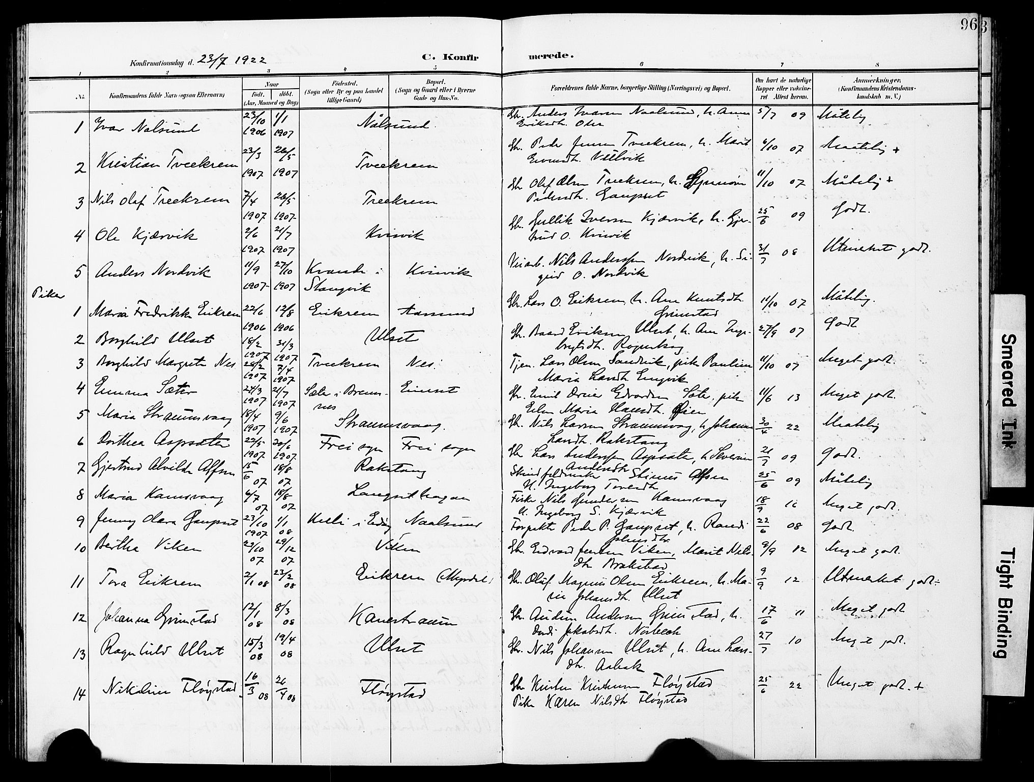 Ministerialprotokoller, klokkerbøker og fødselsregistre - Møre og Romsdal, SAT/A-1454/587/L1001: Klokkerbok nr. 587C01, 1906-1927, s. 96