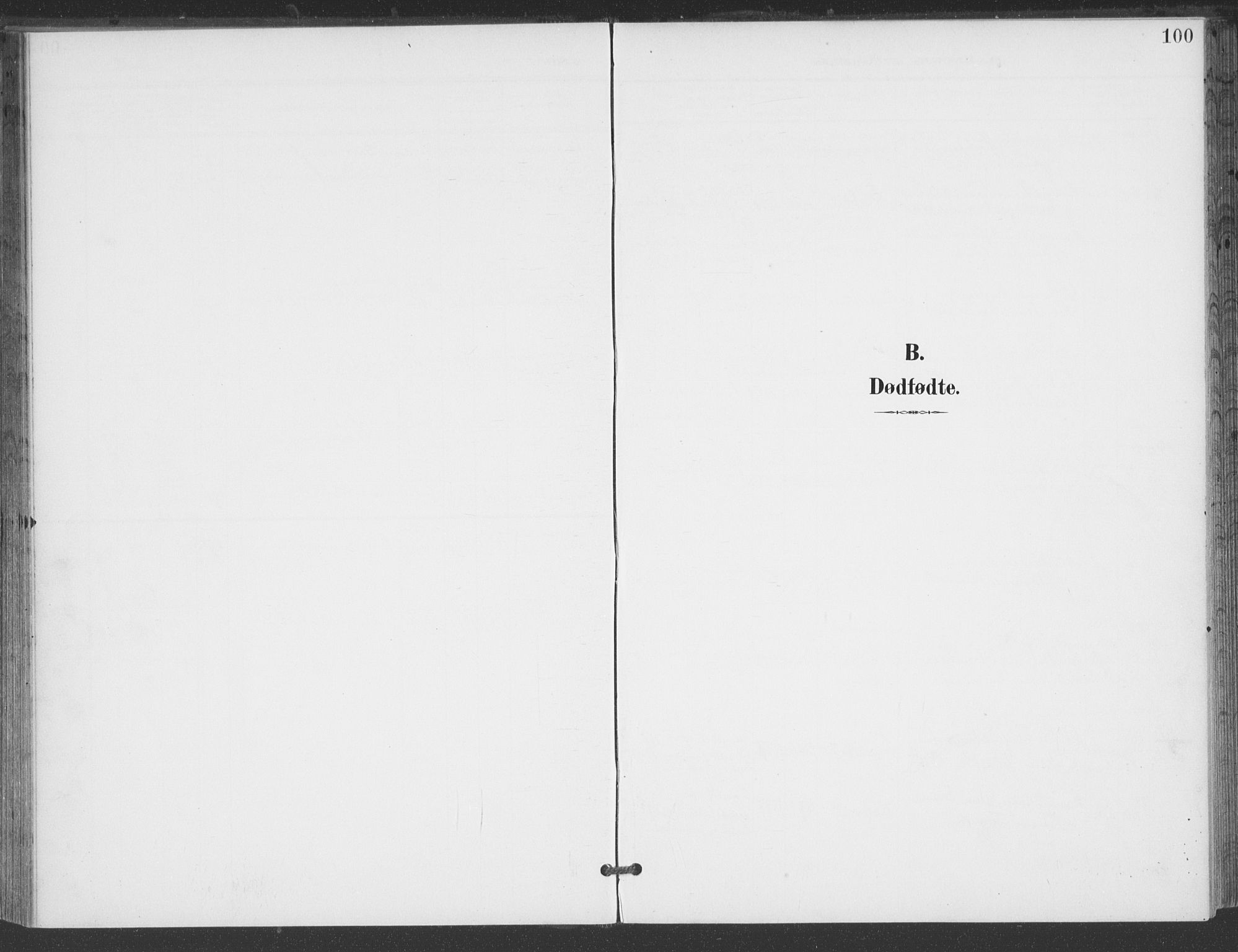 Åmli sokneprestkontor, AV/SAK-1111-0050/F/Fa/Fac/L0012: Ministerialbok nr. A 12, 1900-1914, s. 100