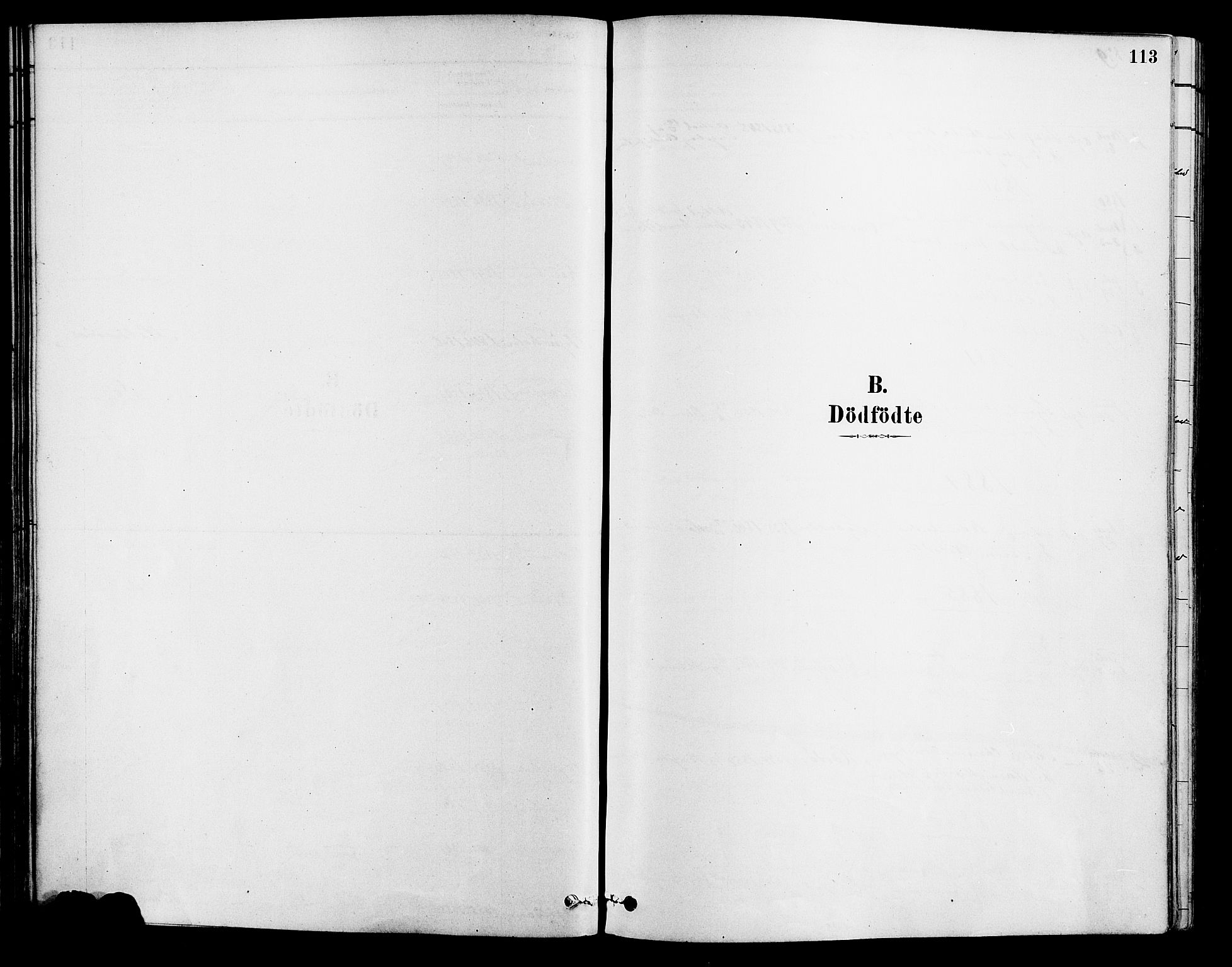 Tromøy sokneprestkontor, AV/SAK-1111-0041/F/Fa/L0009: Ministerialbok nr. A 9, 1878-1896, s. 113