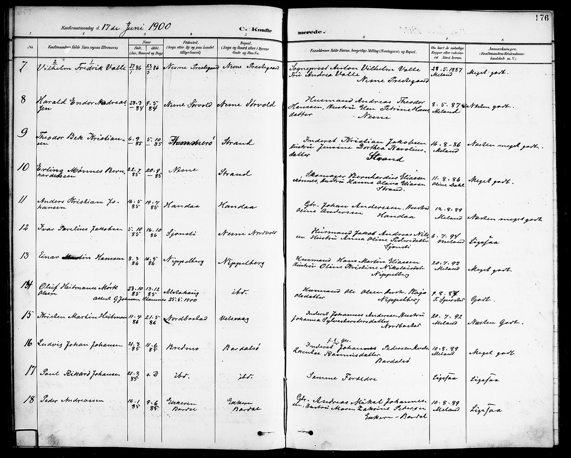 Ministerialprotokoller, klokkerbøker og fødselsregistre - Nordland, SAT/A-1459/838/L0559: Klokkerbok nr. 838C06, 1893-1910, s. 176