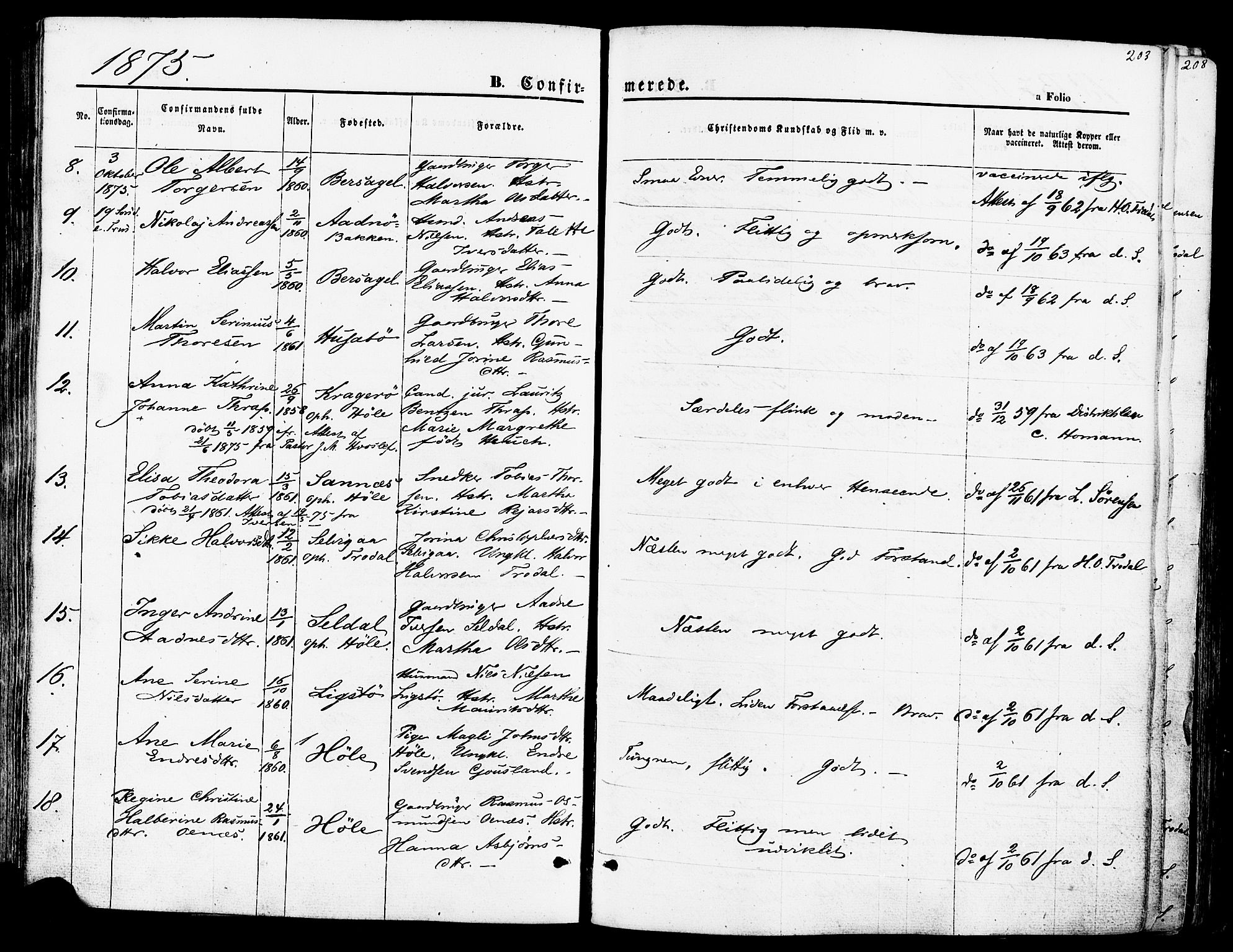 Høgsfjord sokneprestkontor, AV/SAST-A-101624/H/Ha/Haa/L0002: Ministerialbok nr. A 2, 1855-1885, s. 203
