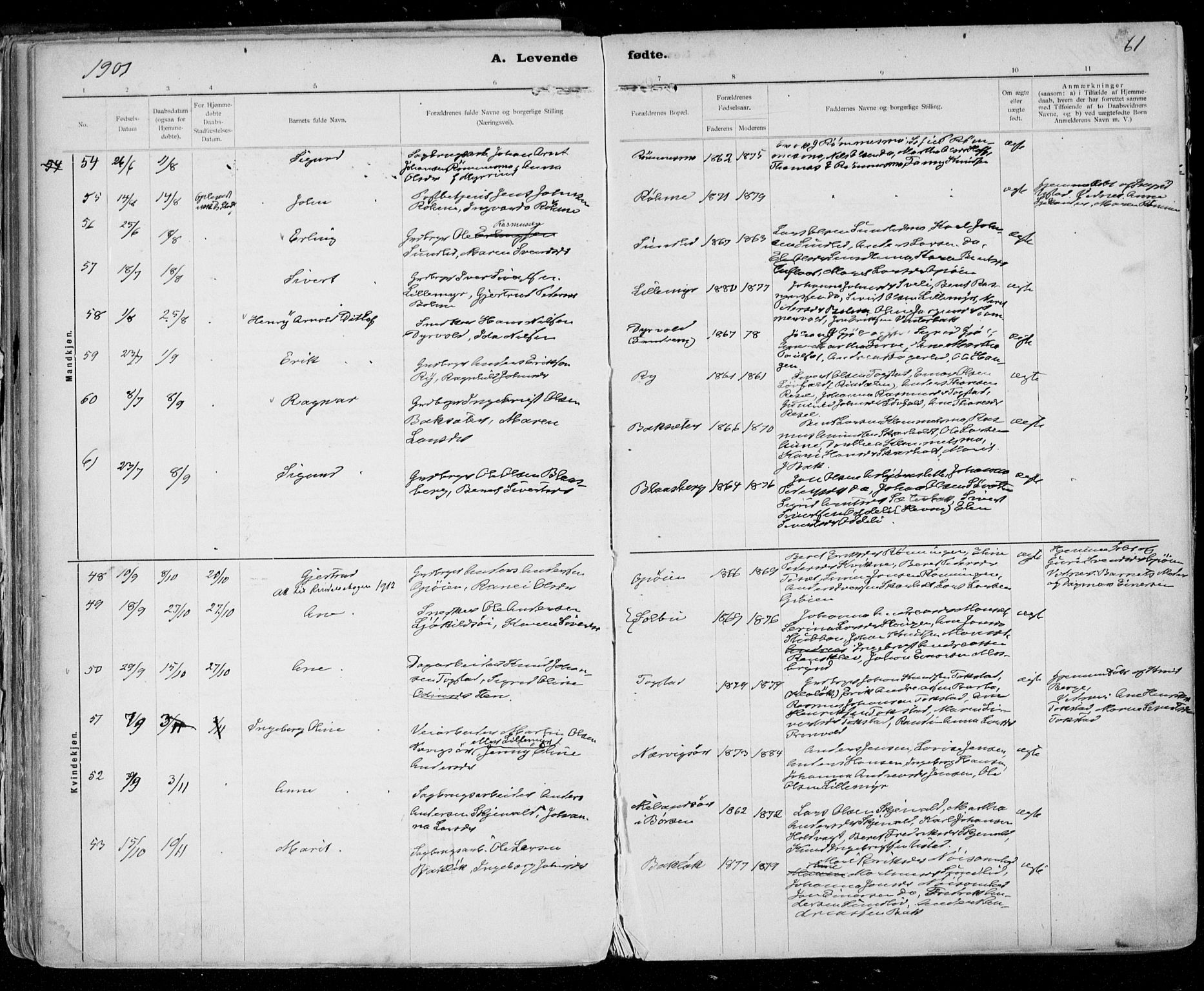 Ministerialprotokoller, klokkerbøker og fødselsregistre - Sør-Trøndelag, AV/SAT-A-1456/668/L0811: Ministerialbok nr. 668A11, 1894-1913, s. 61