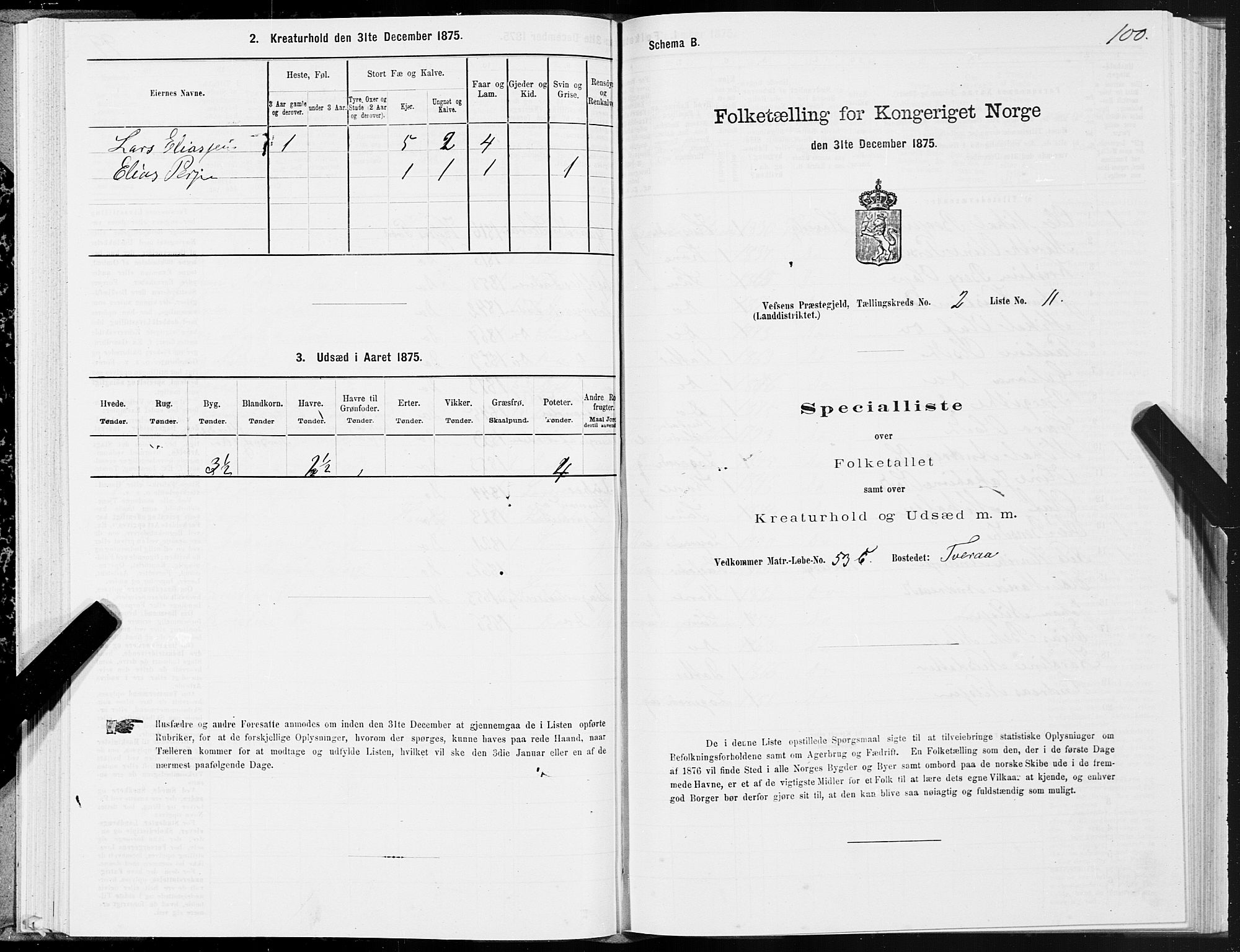 SAT, Folketelling 1875 for 1824L Vefsn prestegjeld, Vefsn sokn, 1875, s. 1100