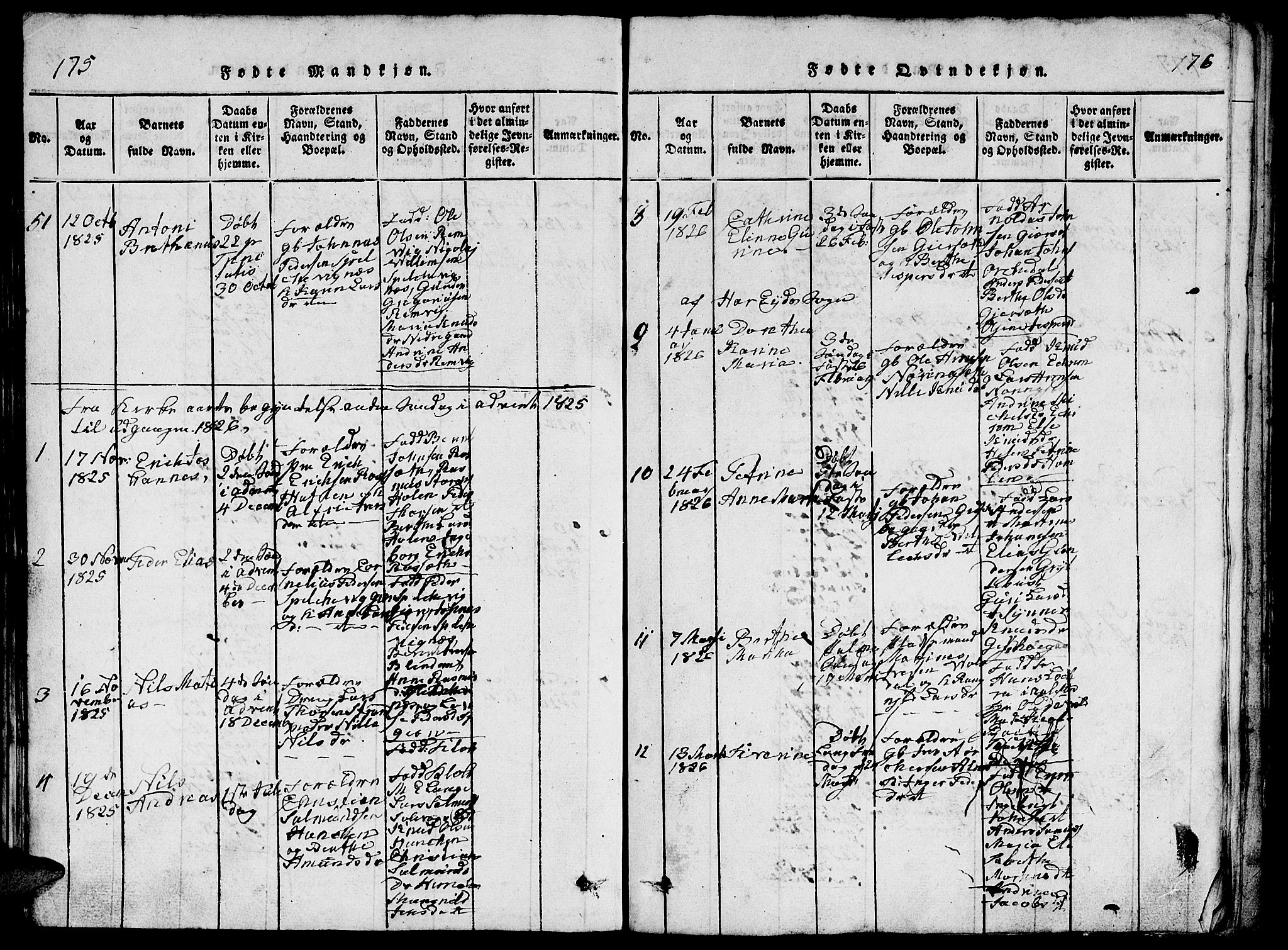 Ministerialprotokoller, klokkerbøker og fødselsregistre - Møre og Romsdal, AV/SAT-A-1454/528/L0423: Klokkerbok nr. 528C04, 1816-1827, s. 175-176