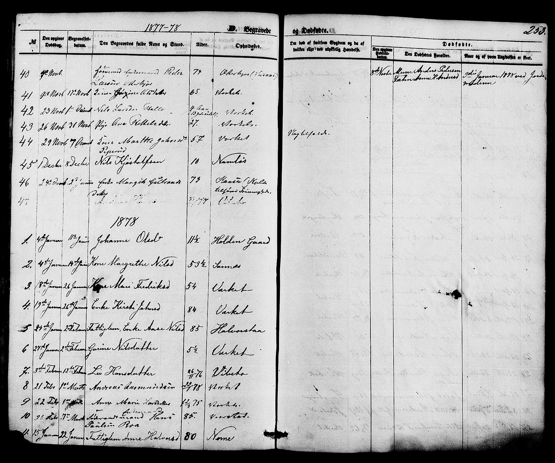 Holla kirkebøker, AV/SAKO-A-272/F/Fa/L0007: Ministerialbok nr. 7, 1869-1881, s. 253