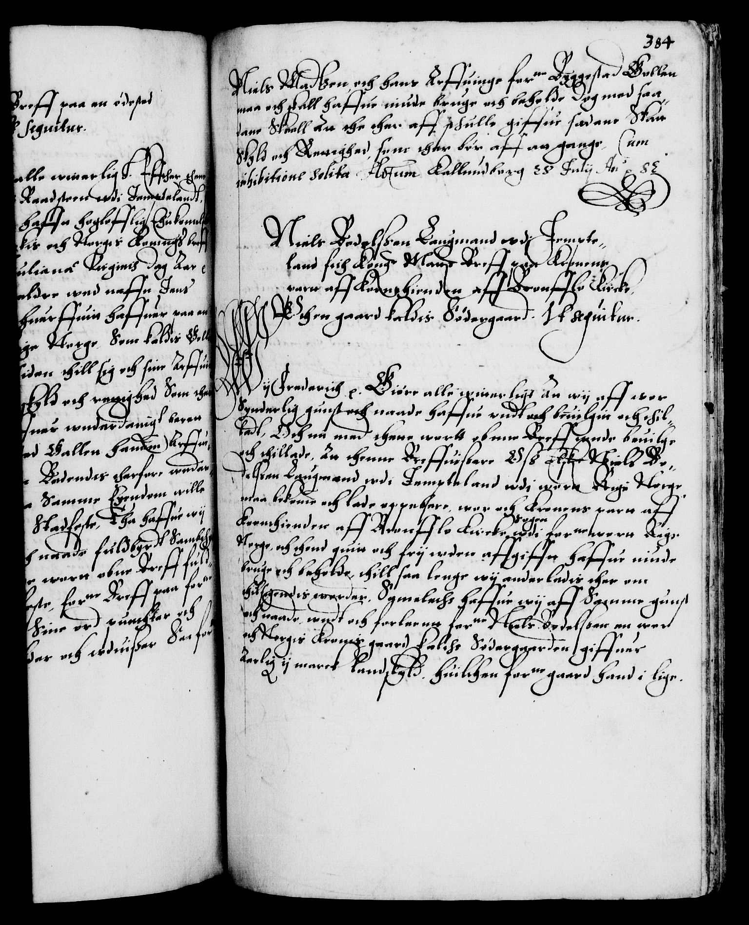 Danske Kanselli 1572-1799, RA/EA-3023/F/Fc/Fca/Fcaa/L0001: Norske registre (mikrofilm), 1572-1588, s. 384a