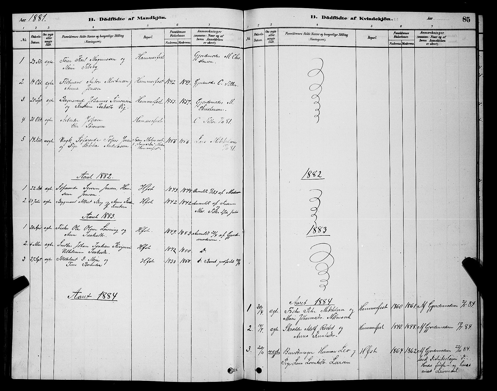 Hammerfest sokneprestkontor, SATØ/S-1347/H/Hb/L0006.klokk: Klokkerbok nr. 6, 1876-1884, s. 85