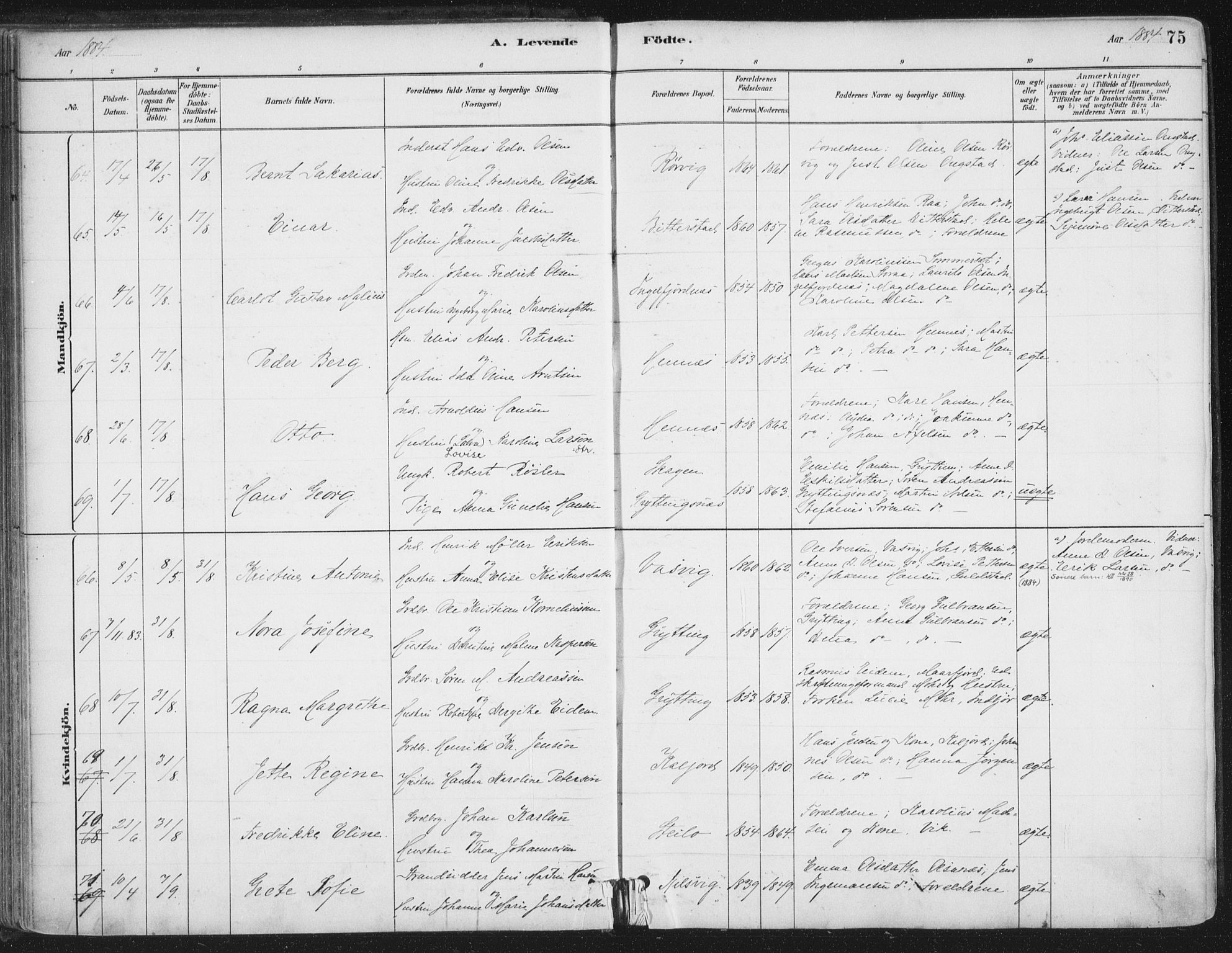 Ministerialprotokoller, klokkerbøker og fødselsregistre - Nordland, AV/SAT-A-1459/888/L1244: Ministerialbok nr. 888A10, 1880-1890, s. 75