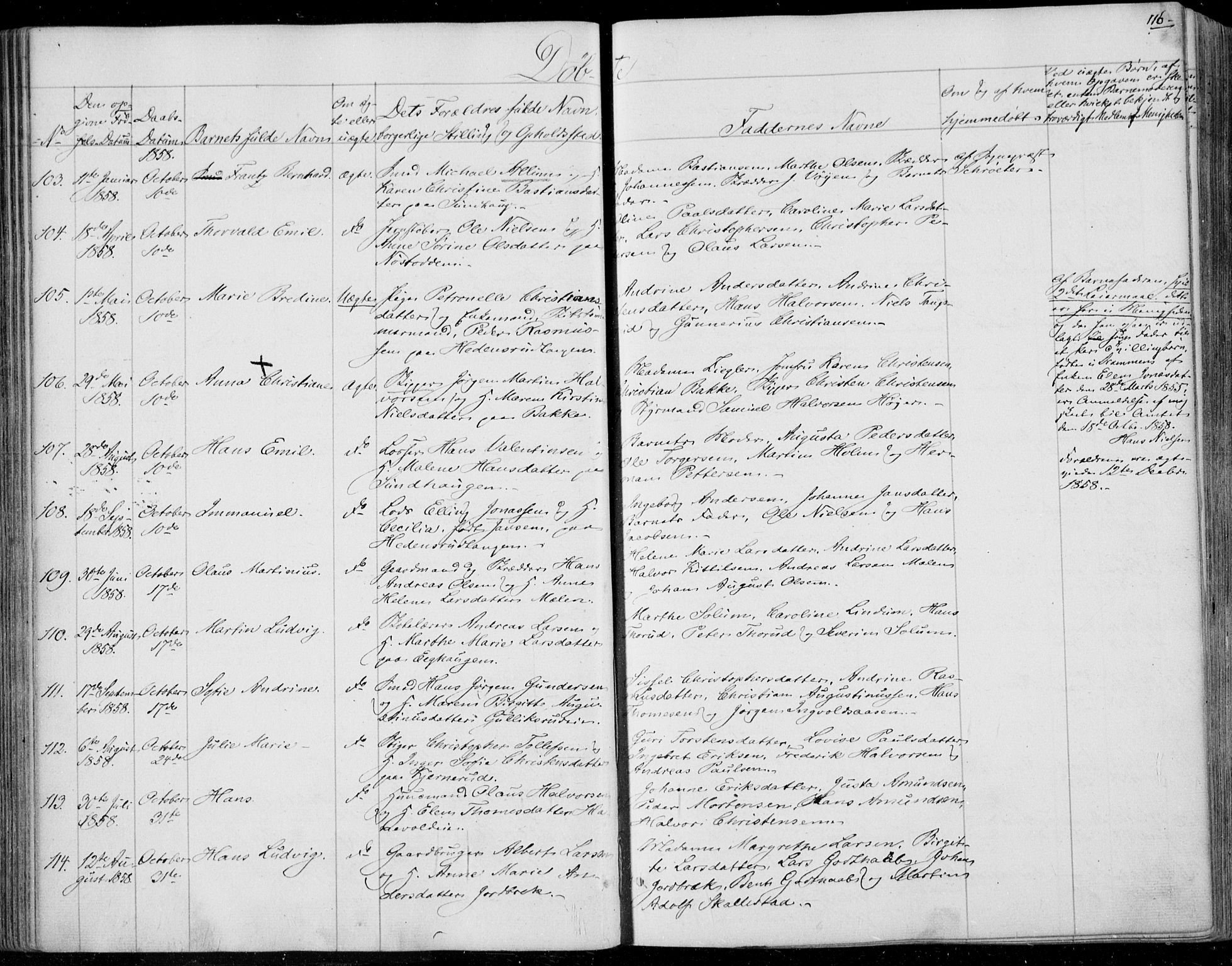 Skoger kirkebøker, SAKO/A-59/F/Fa/L0003: Ministerialbok nr. I 3, 1842-1861, s. 116