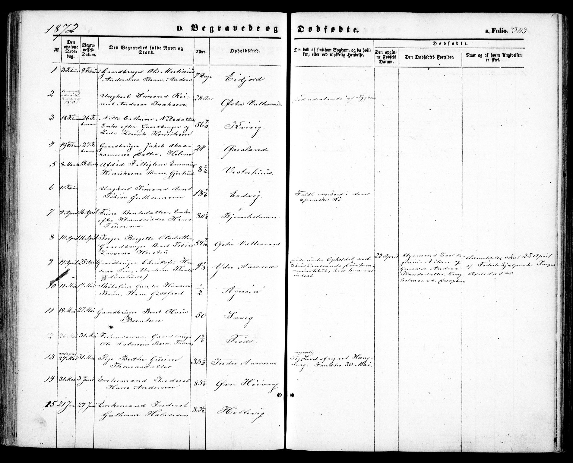 Høvåg sokneprestkontor, SAK/1111-0025/F/Fa/L0004: Ministerialbok nr. A 4, 1859-1877, s. 303