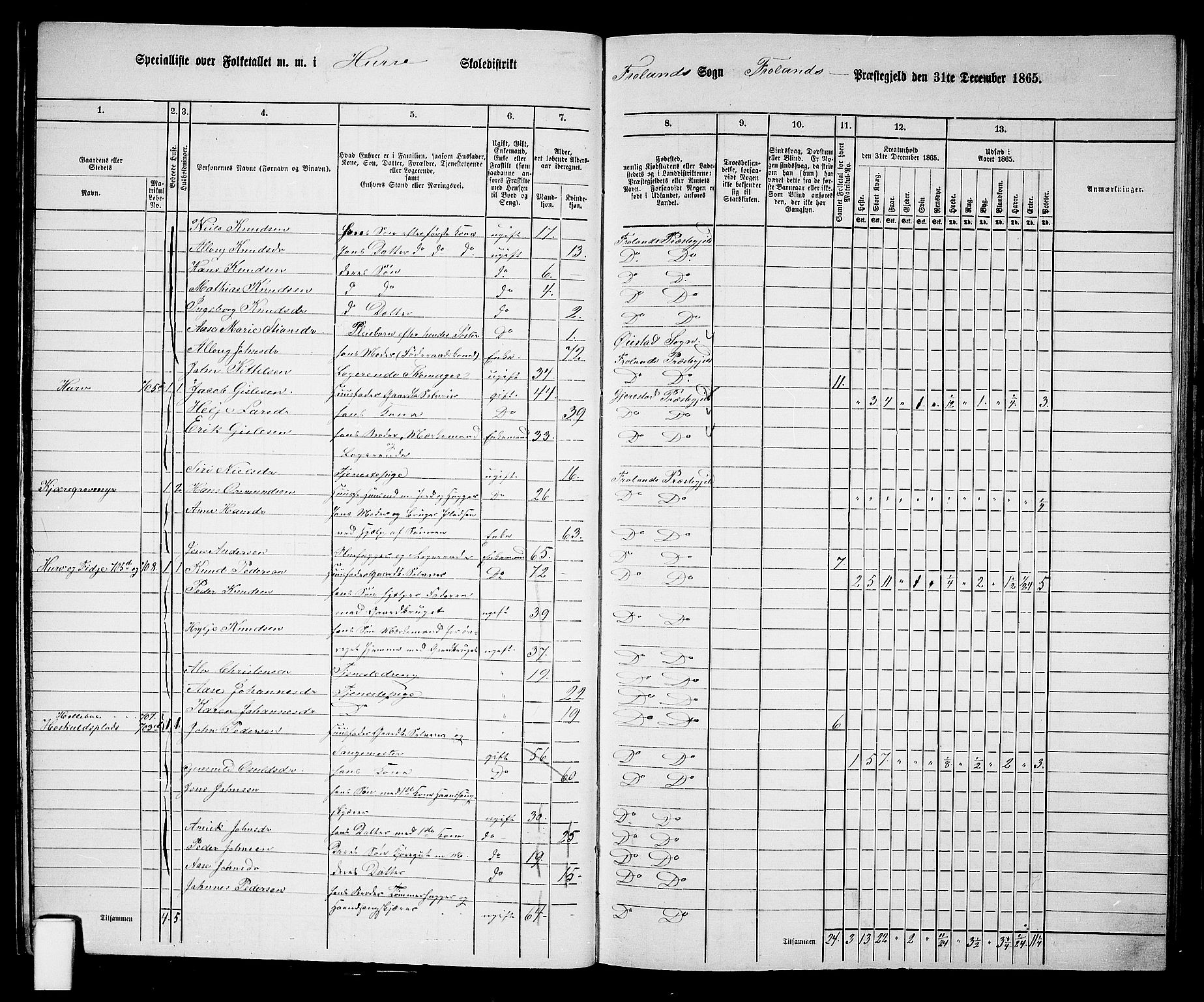 RA, Folketelling 1865 for 0919P Froland prestegjeld, 1865, s. 17