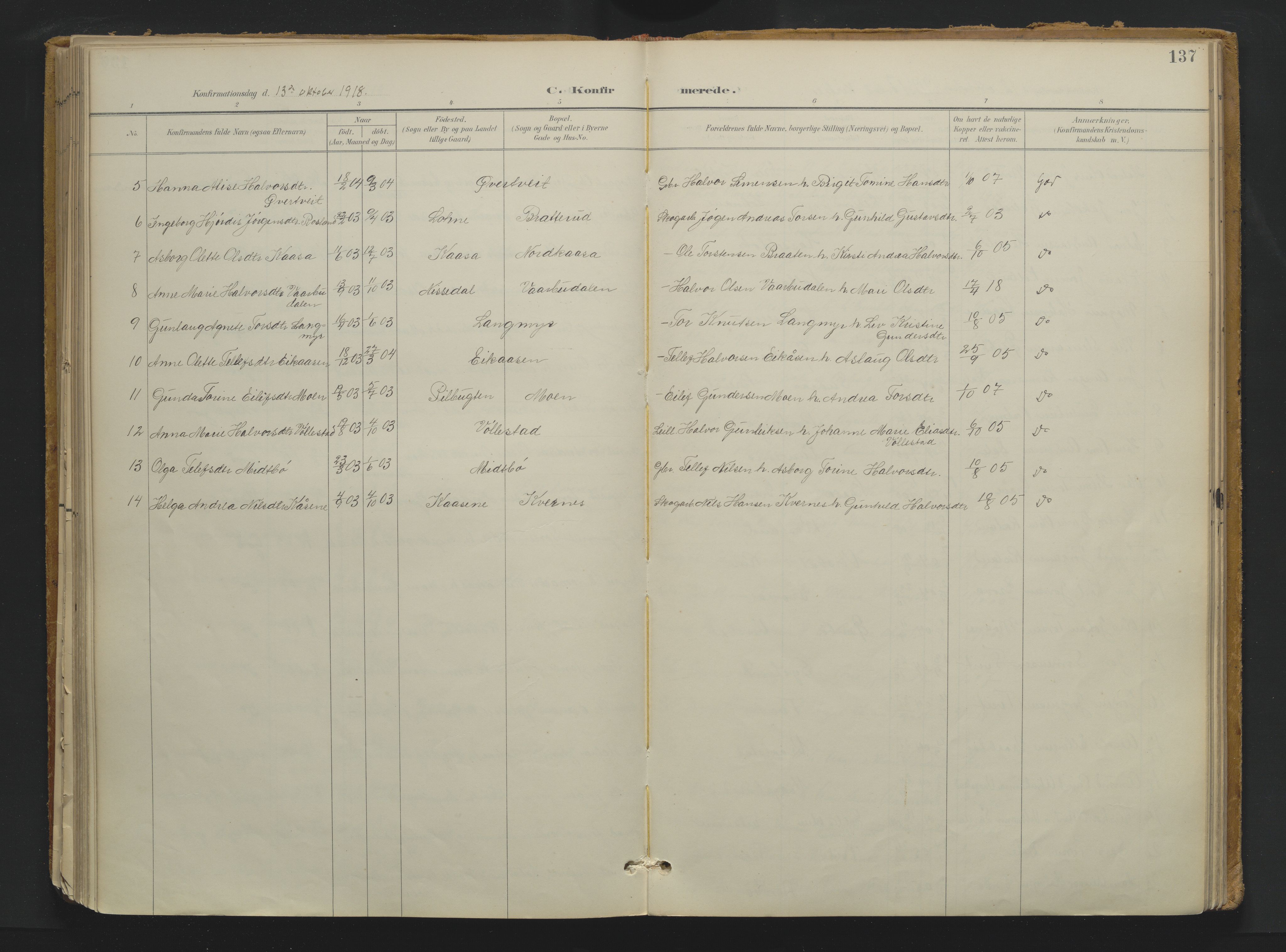 Drangedal kirkebøker, SAKO/A-258/F/Fa/L0013: Ministerialbok nr. 13, 1895-1919, s. 137
