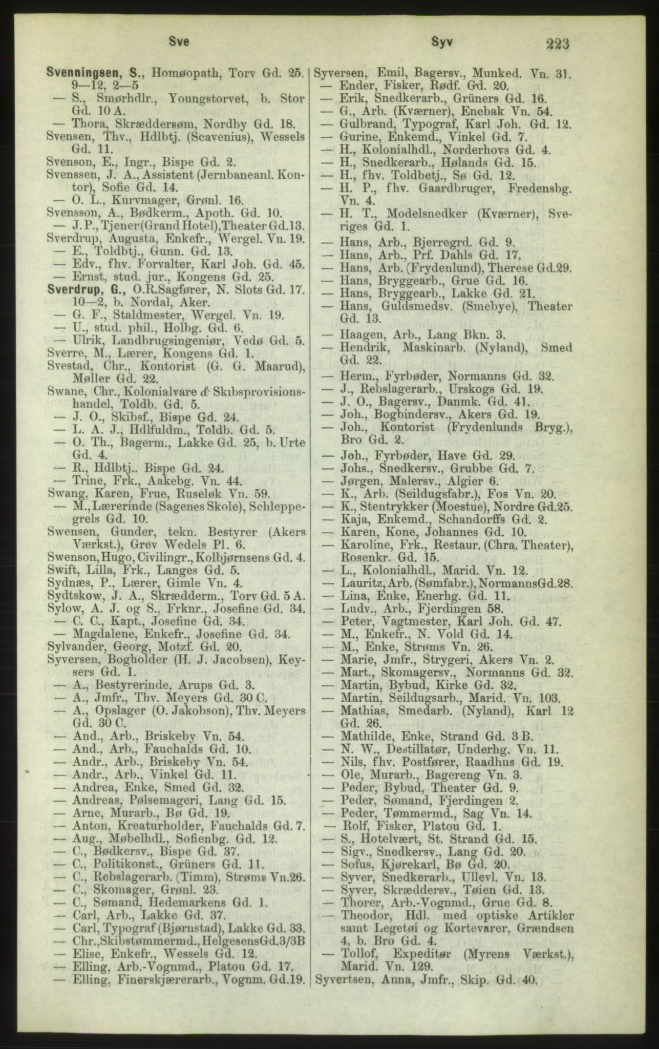 Kristiania/Oslo adressebok, PUBL/-, 1882, s. 223