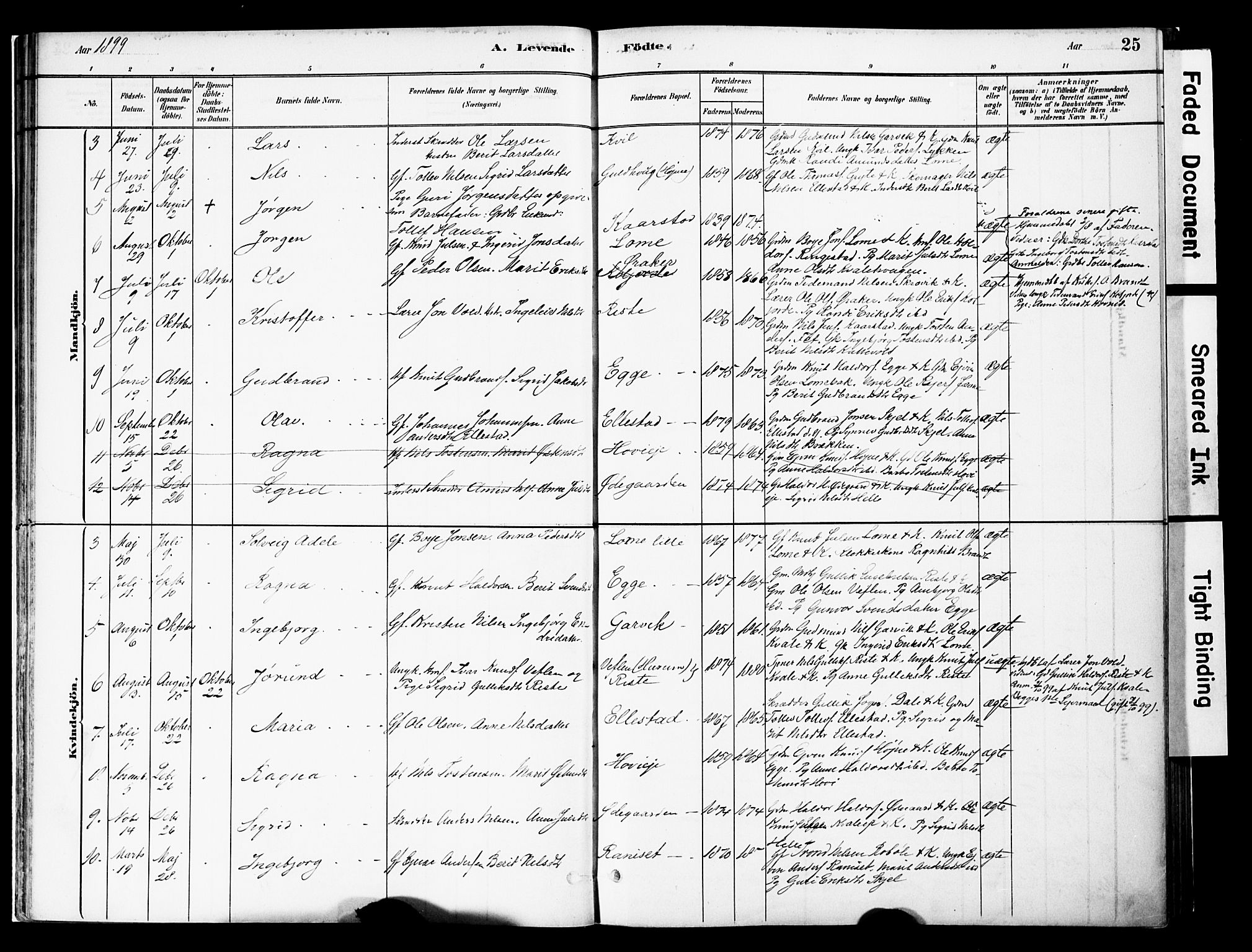 Vestre Slidre prestekontor, AV/SAH-PREST-136/H/Ha/Haa/L0005: Ministerialbok nr. 5, 1881-1912, s. 25