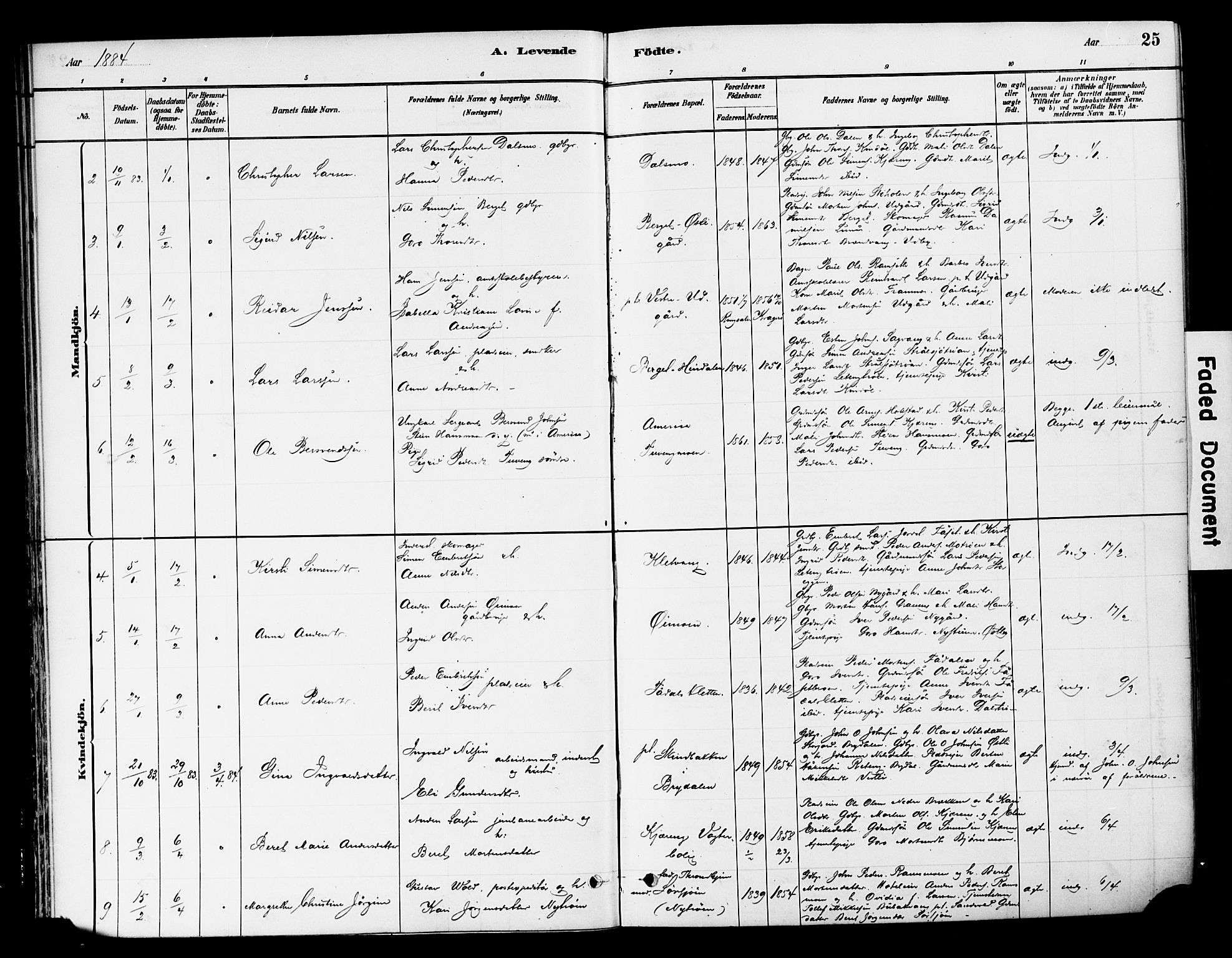 Tynset prestekontor, AV/SAH-PREST-058/H/Ha/Haa/L0022: Ministerialbok nr. 22, 1880-1899, s. 25