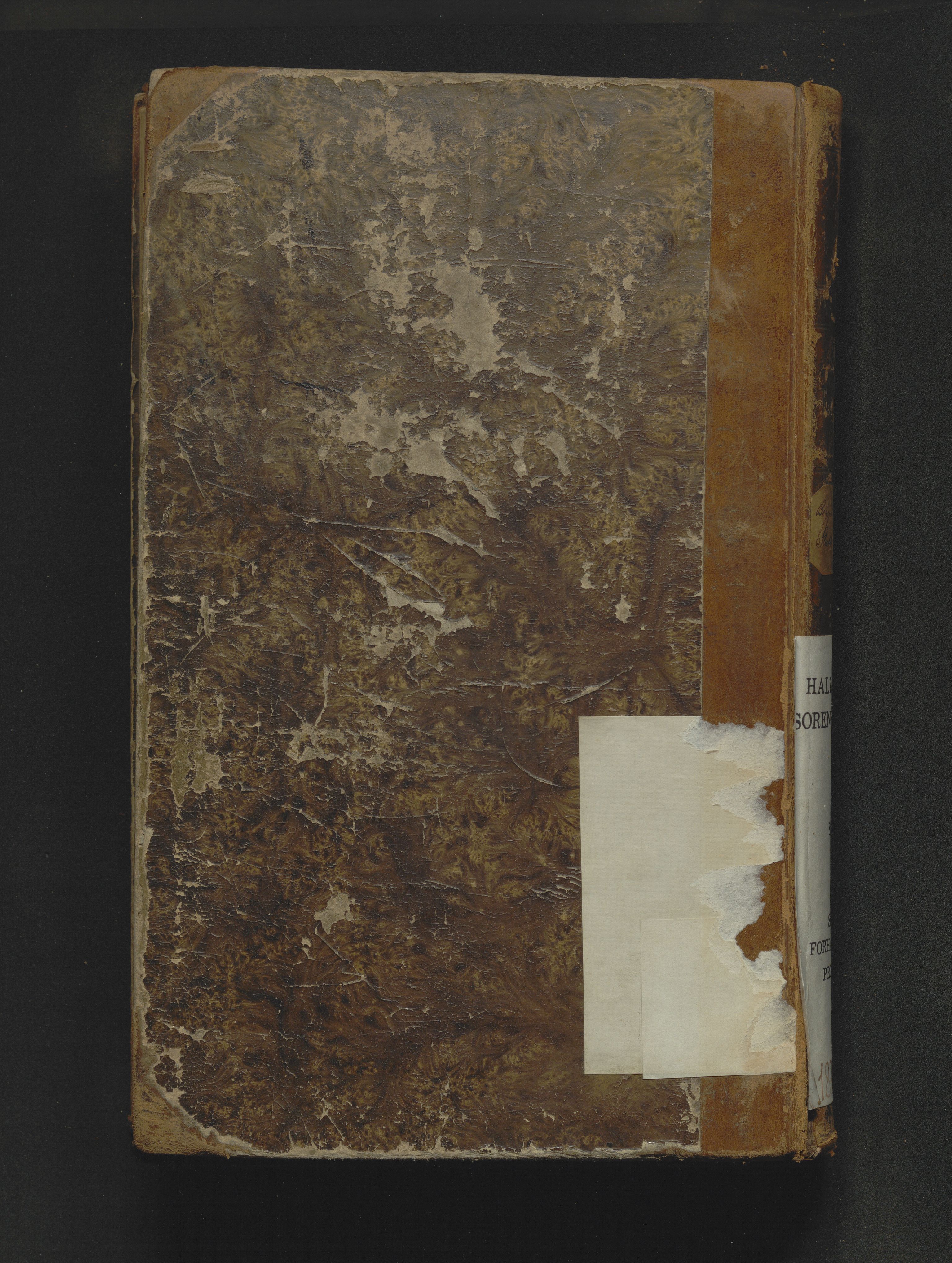 Hallingdal sorenskriveri, SAKO/A-121/H/Hb/Hbc/L0004: Skifteforhandlingsprotokoll, 1871-1877