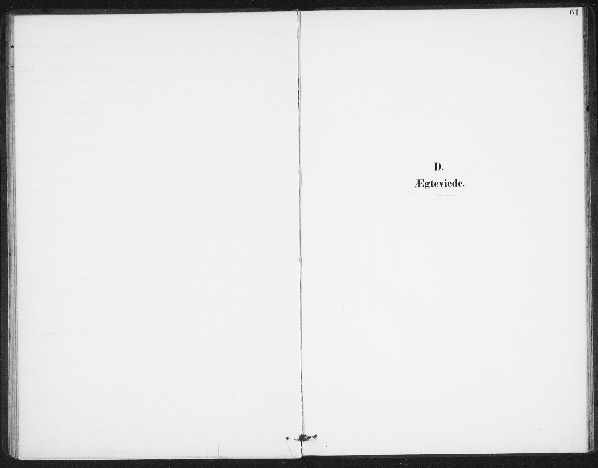 Ministerialprotokoller, klokkerbøker og fødselsregistre - Nordland, SAT/A-1459/811/L0167: Ministerialbok nr. 811A04, 1899-1913, s. 61