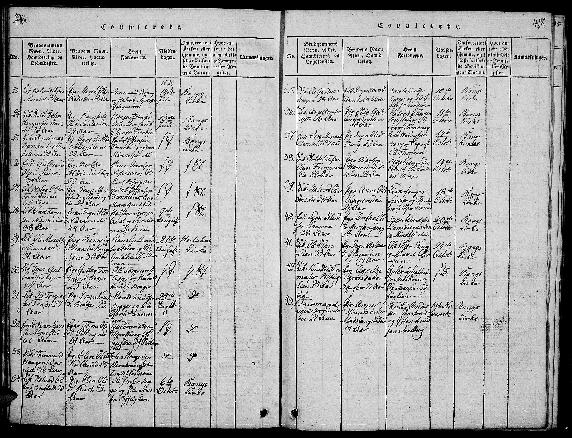 Sør-Aurdal prestekontor, SAH/PREST-128/H/Ha/Hab/L0001: Klokkerbok nr. 1, 1815-1826, s. 416-417