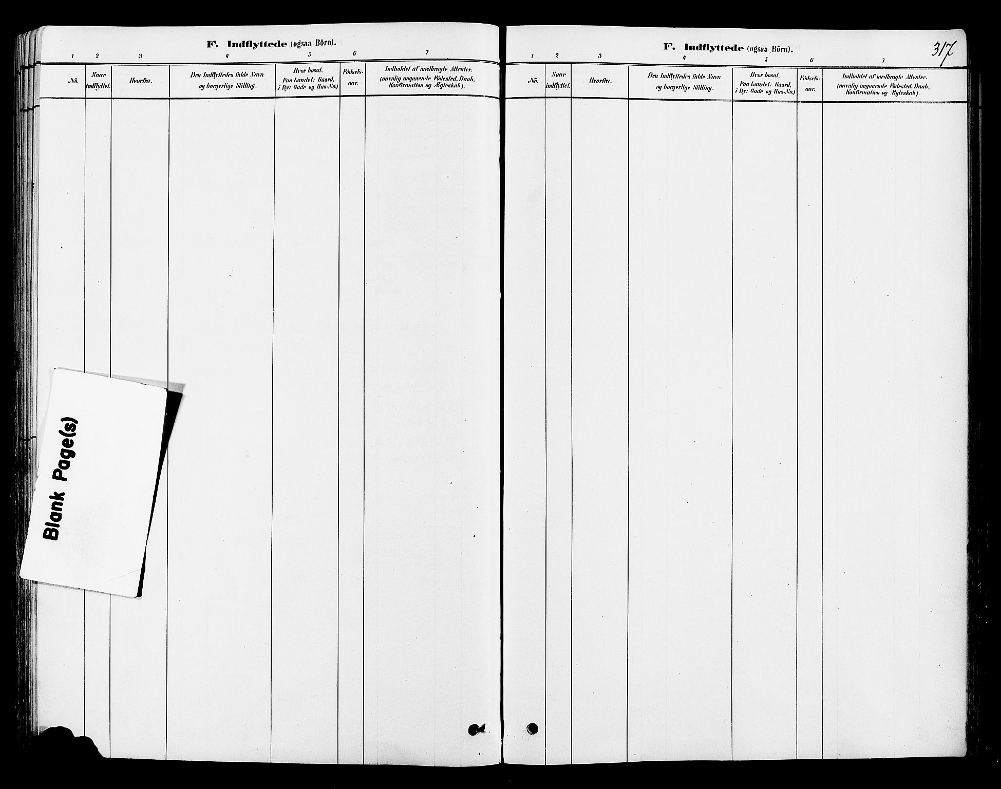 Ringsaker prestekontor, AV/SAH-PREST-014/L/La/L0009: Klokkerbok nr. 9, 1879-1890, s. 317