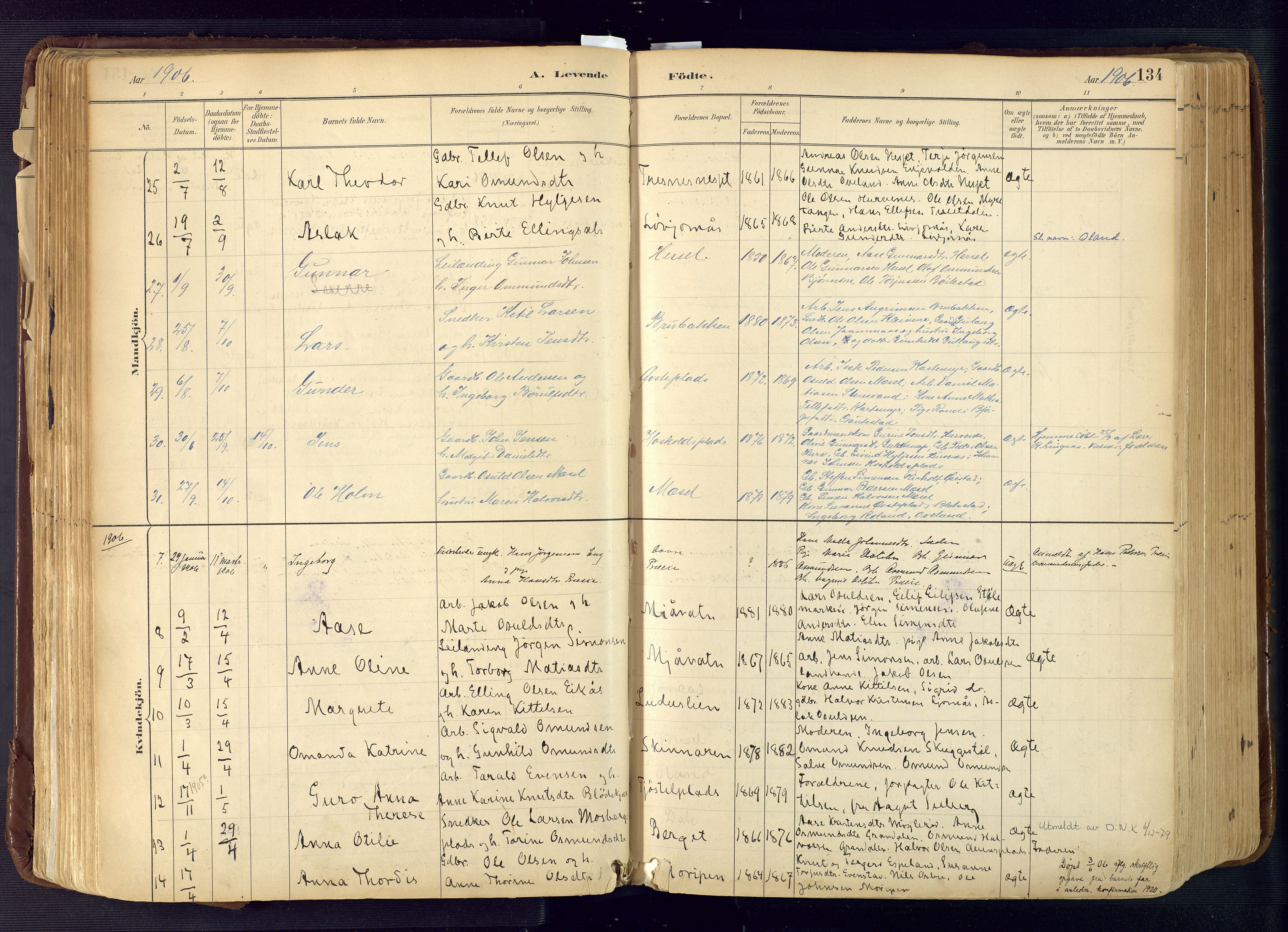 Froland sokneprestkontor, AV/SAK-1111-0013/F/Fa/L0005: Ministerialbok nr. A 5, 1882-1921, s. 134
