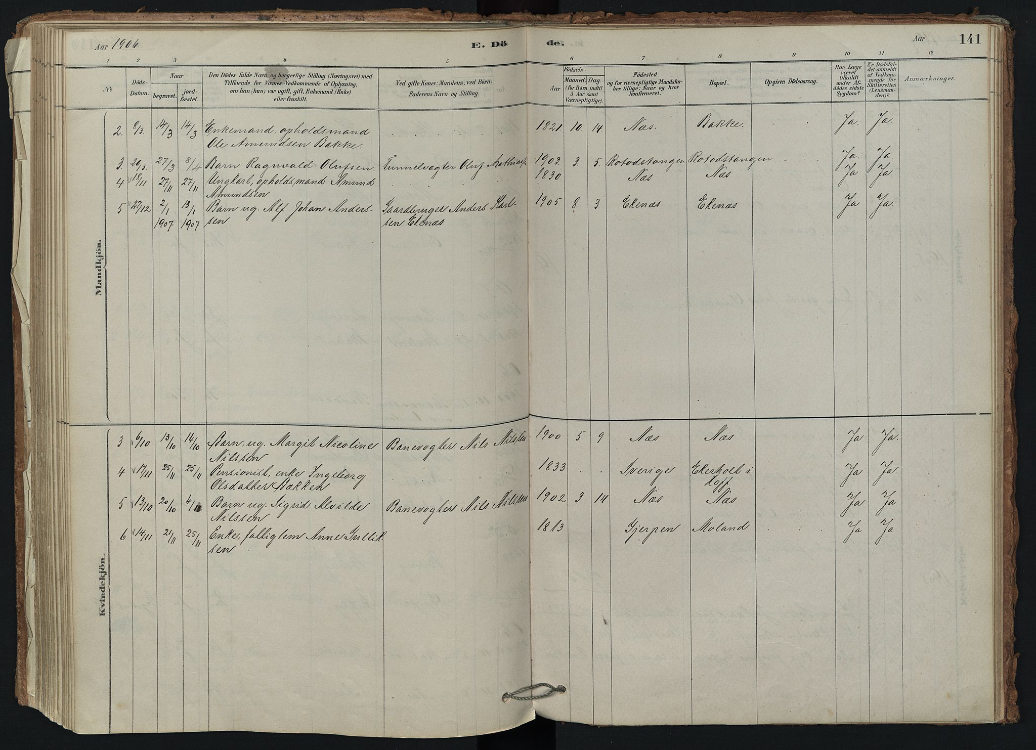 Brunlanes kirkebøker, AV/SAKO-A-342/F/Fd/L0001: Ministerialbok nr. IV 1, 1878-1917, s. 141