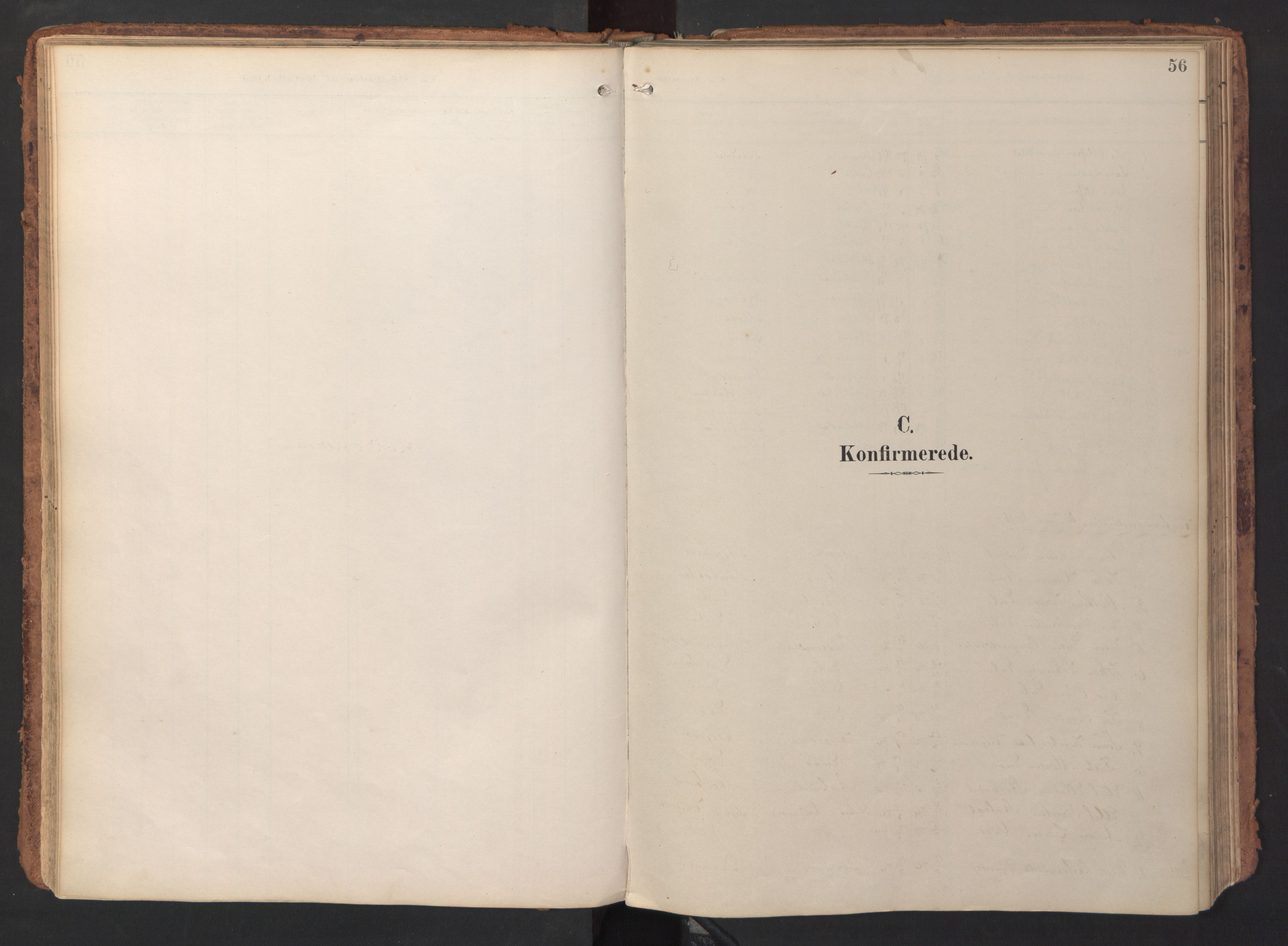 Ministerialprotokoller, klokkerbøker og fødselsregistre - Sør-Trøndelag, AV/SAT-A-1456/690/L1050: Ministerialbok nr. 690A01, 1889-1929, s. 56