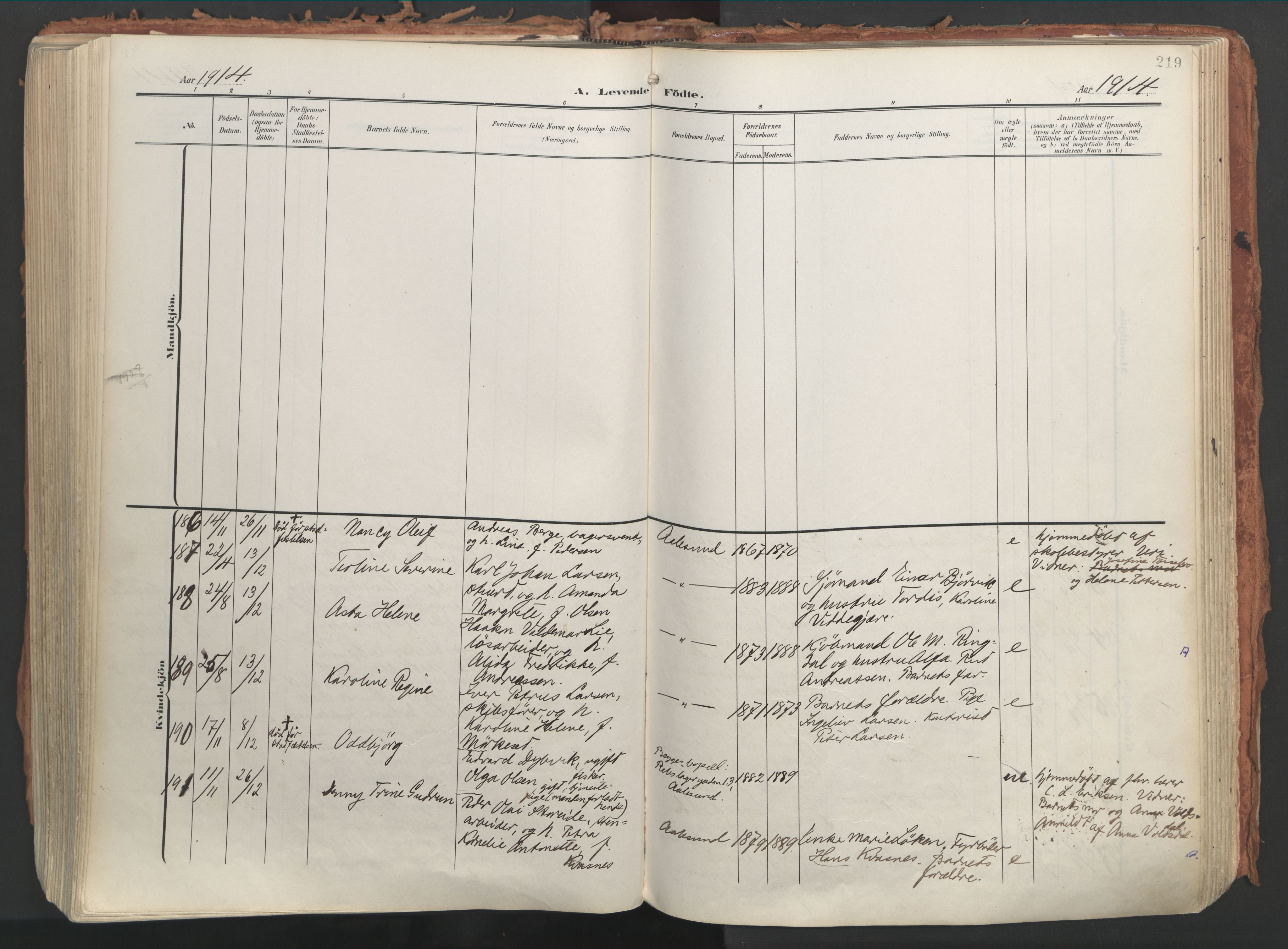 Ministerialprotokoller, klokkerbøker og fødselsregistre - Møre og Romsdal, AV/SAT-A-1454/529/L0460: Ministerialbok nr. 529A10, 1906-1917, s. 219