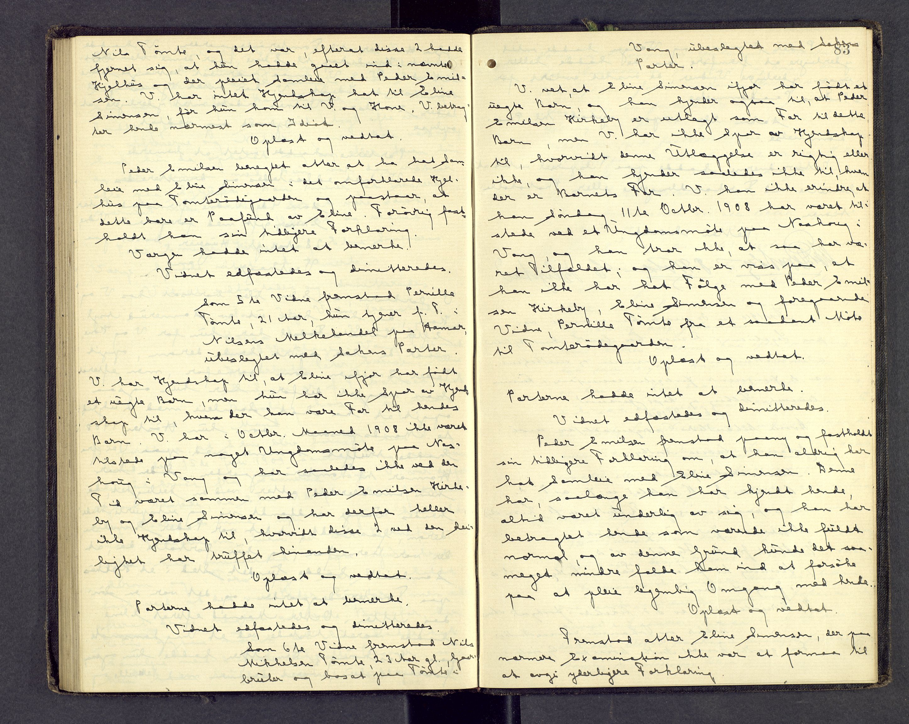 Nord-Hedmark sorenskriveri, AV/SAH-TING-012/G/Gc/L0020: Ekstrarettsprotokoll, 1899-1912, s. 82b-83a