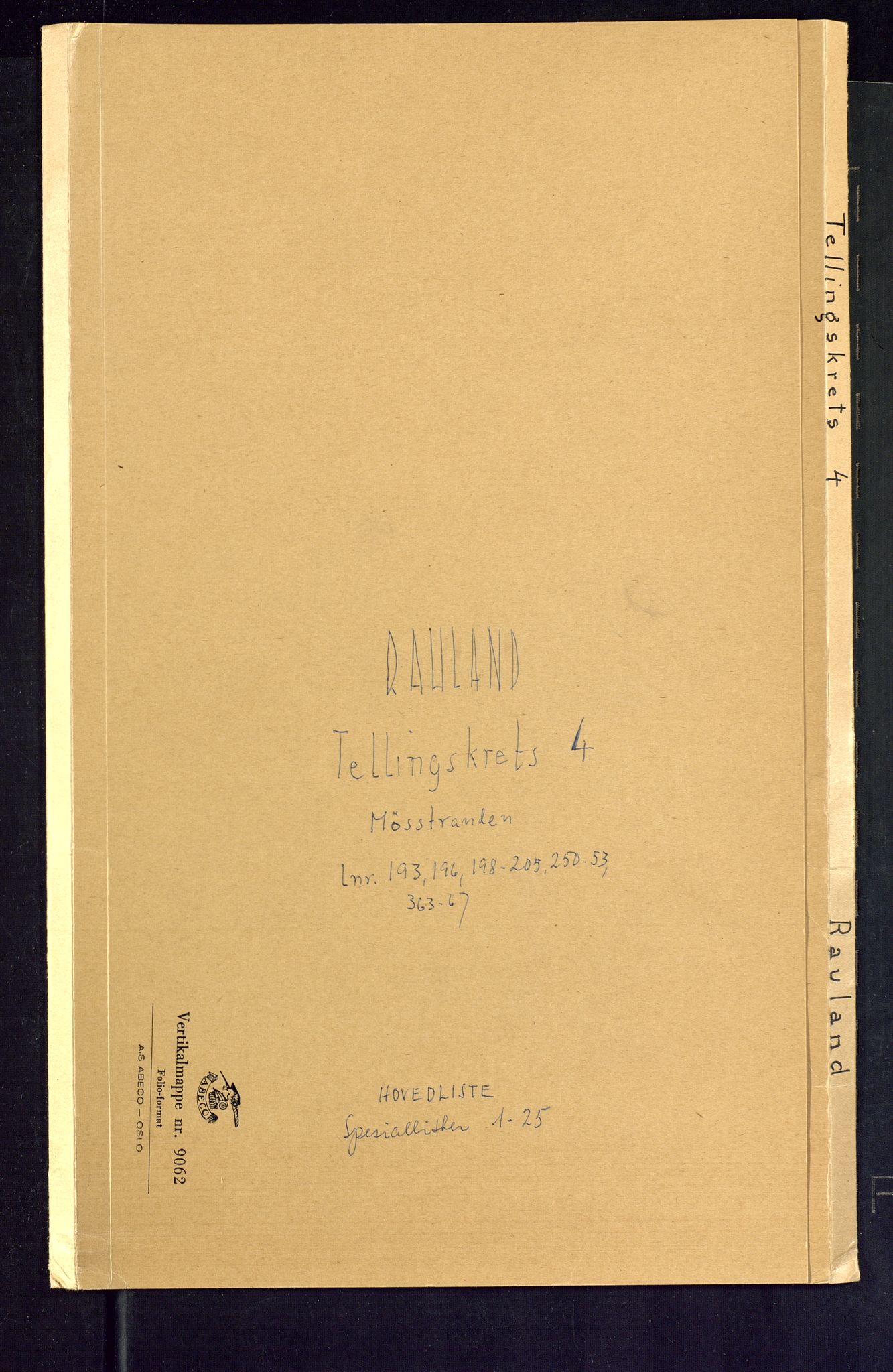 SAKO, Folketelling 1875 for 0835P Rauland prestegjeld, 1875, s. 13