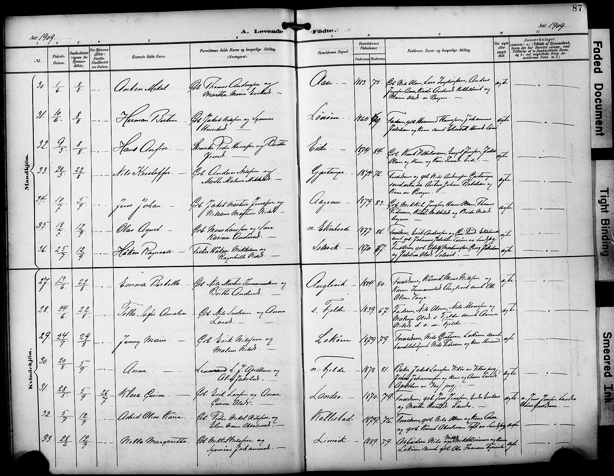 Fjell sokneprestembete, AV/SAB-A-75301/H/Hab: Klokkerbok nr. A 5, 1899-1918, s. 87