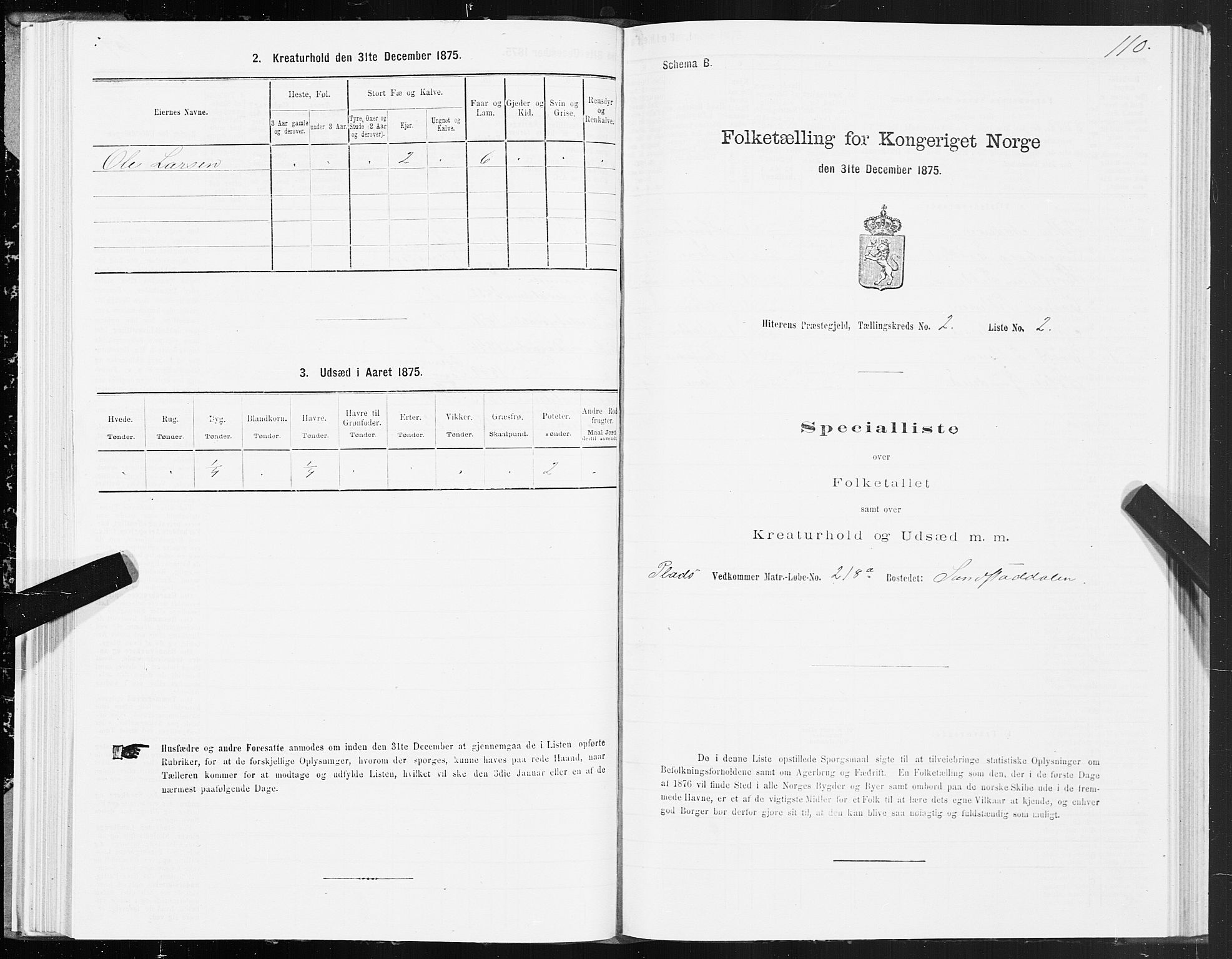 SAT, Folketelling 1875 for 1617P Hitra prestegjeld, 1875, s. 1110