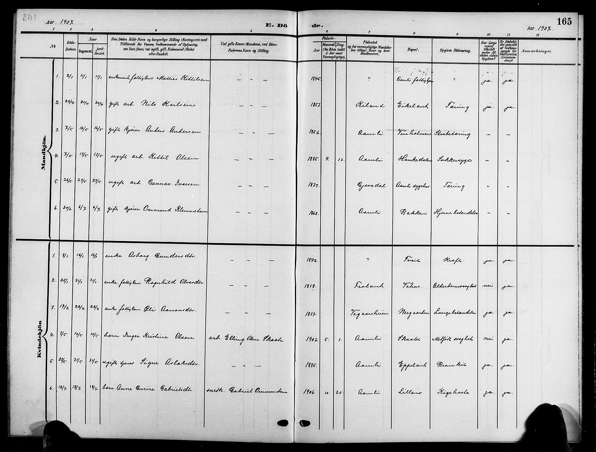 Åmli sokneprestkontor, SAK/1111-0050/F/Fb/Fbc/L0005: Klokkerbok nr. B 5, 1903-1916, s. 165